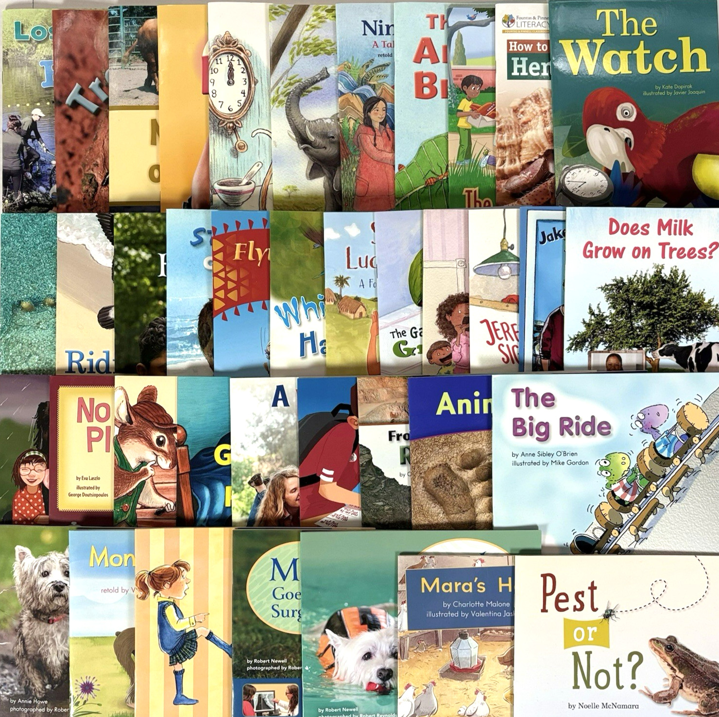 2nd Grade Reading Level F-N Fountas & Pinnell 40-Book Library #2