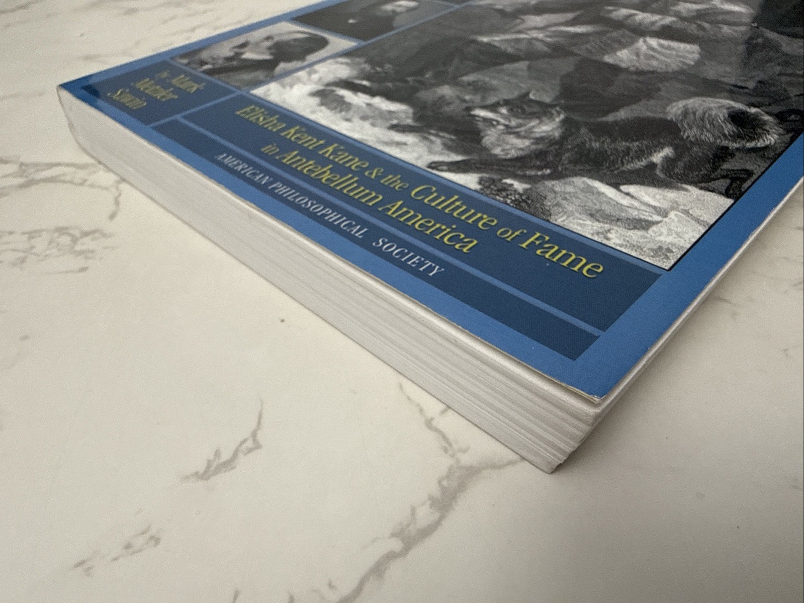 Raising Kane : Elisha Kent Kane and the Culture of Fame in Antebellum America…