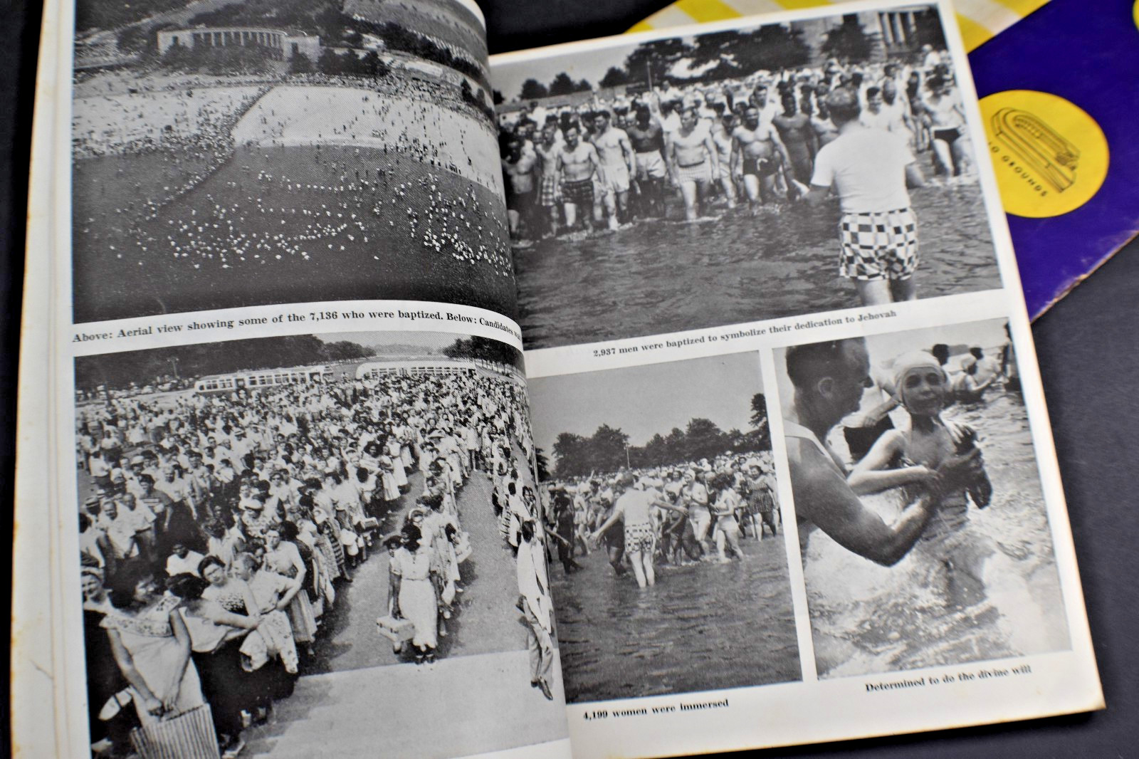 1958 Divine Will Jehovahs Witnesses Report & Program NY City Yankee Stadium/Polo