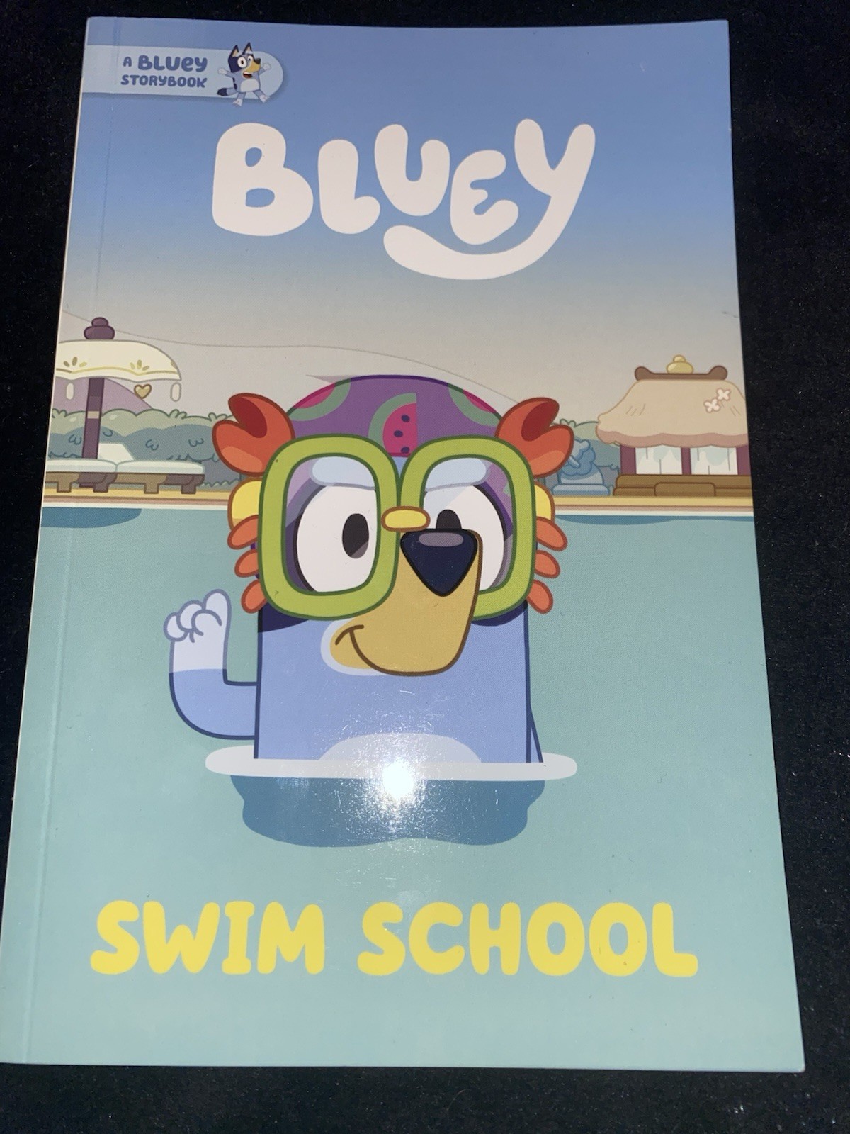 Bluey Books Lot of 5 .4 Are Paperback Books and One Is Hardcover.