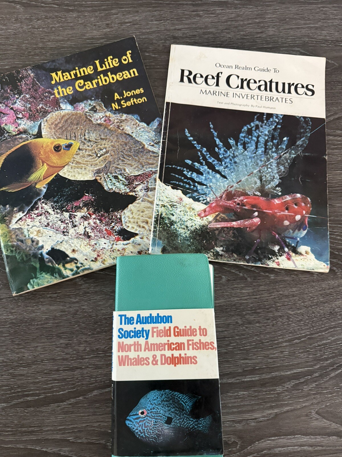 Lot Of 3 Caribbean Marine Reef And Fish Books. All Soft Cover Vintage