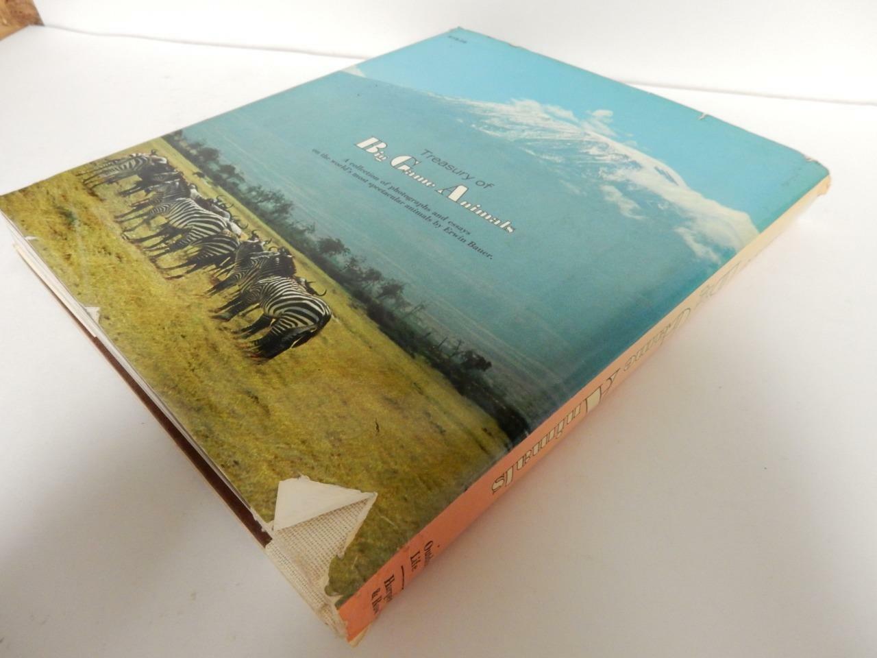 1972 AN OUTDOOR LIFE BOOK, TREASURY OF BIG GAME ANIMALS, BY ERWIN BAUER #HH34