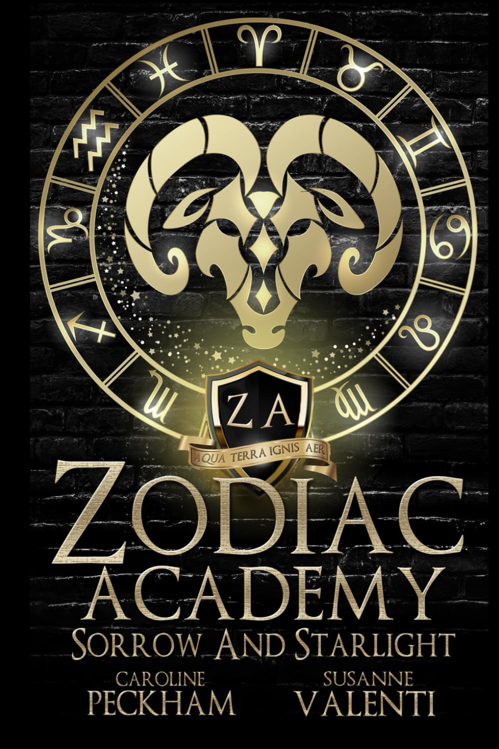 Zodiac Academy 8: Sorrow & Starlight Matte Edition Book