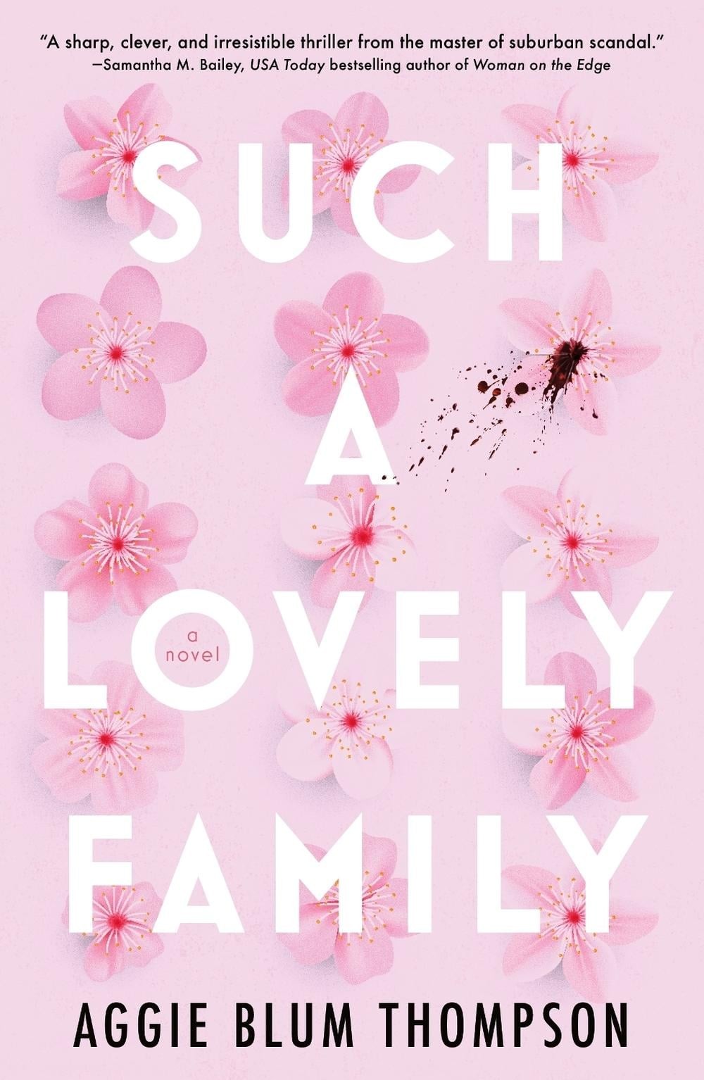 Such a Lovely Family by Aggie Blum Thompson (English) Hardcover Book