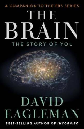 The Brain: The Story of You – Hardcover By Eagleman, David – GOOD