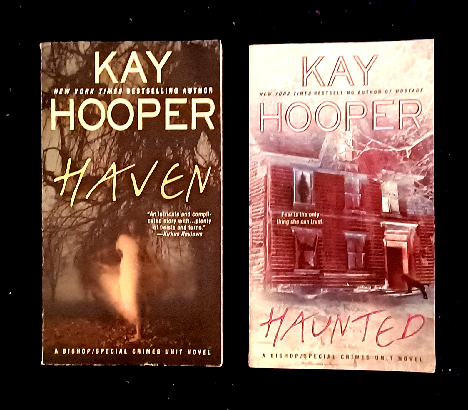 2 Bishop/Special Crimes Unit novels-Kay Hooper-Haven/Haunted-tall rack-free ship