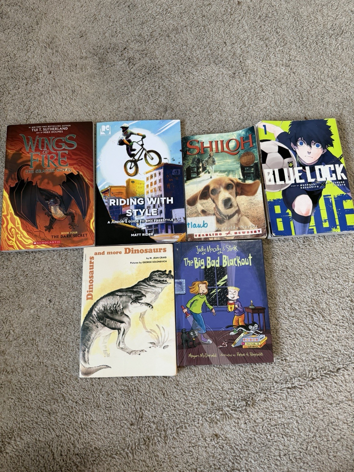 Scholastic Paperback Book Lot of 6 Kids/YA Ages 9-12 Illustrated