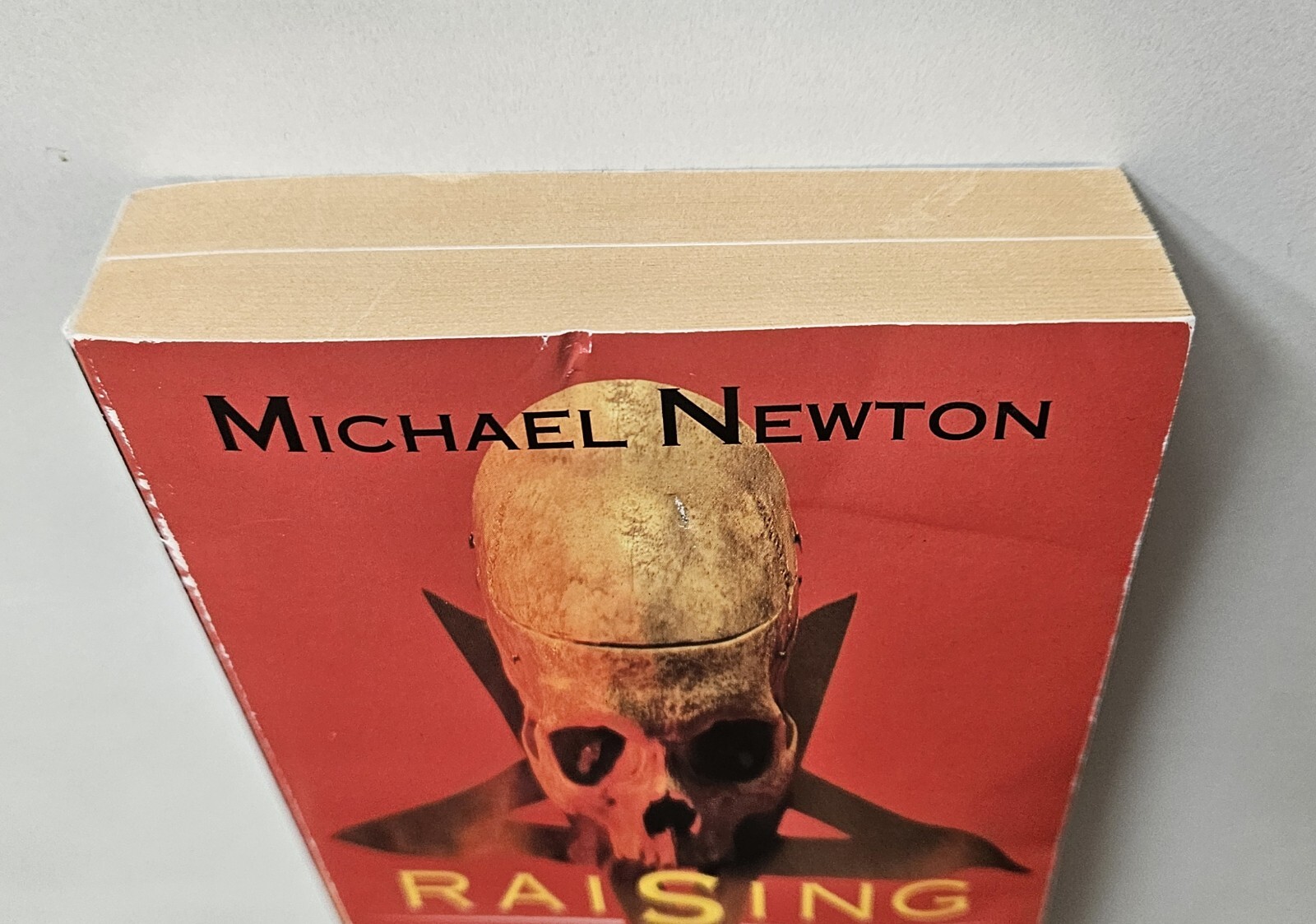 Raising Hell: Encyclopedia of Devil Worship Satanic Crime Newton UK Ed PB 1994