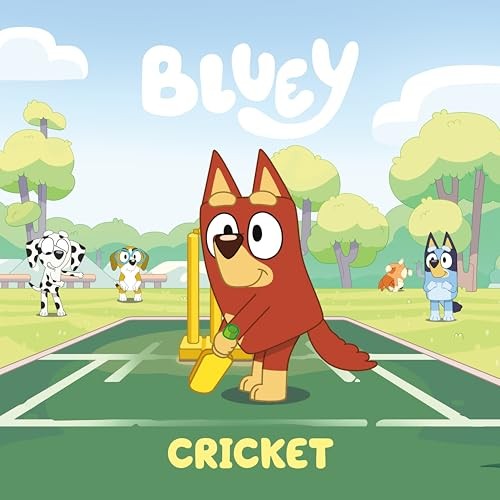 Bluey Cricket – GOOD