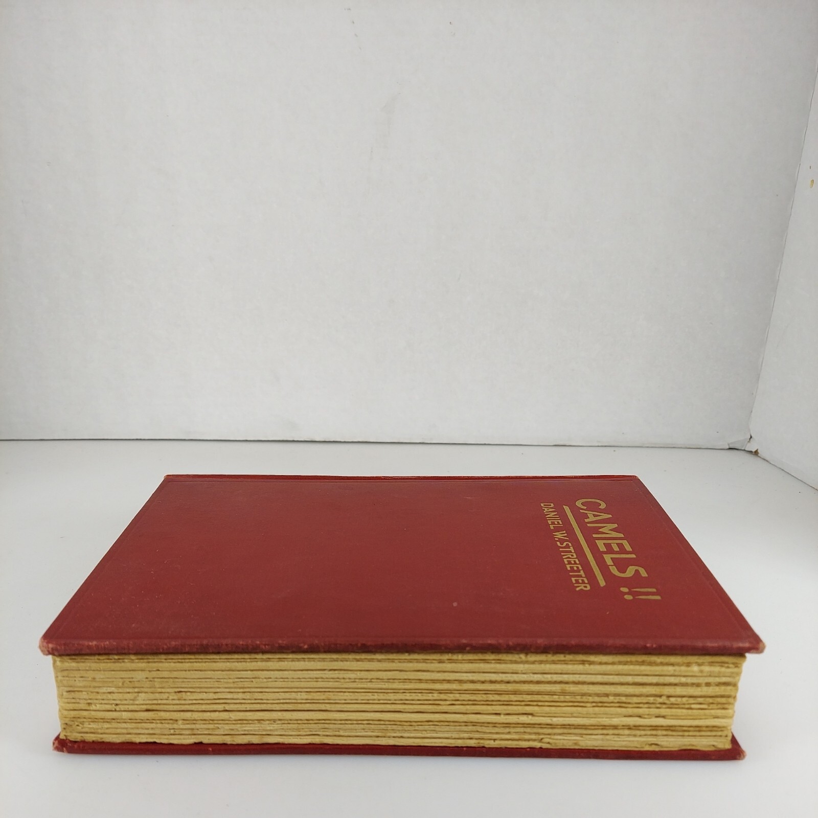 CAMELS! Daniel W. Streeter 1927 4th Impression Illustrated HC G.P. Putnam’s Sons