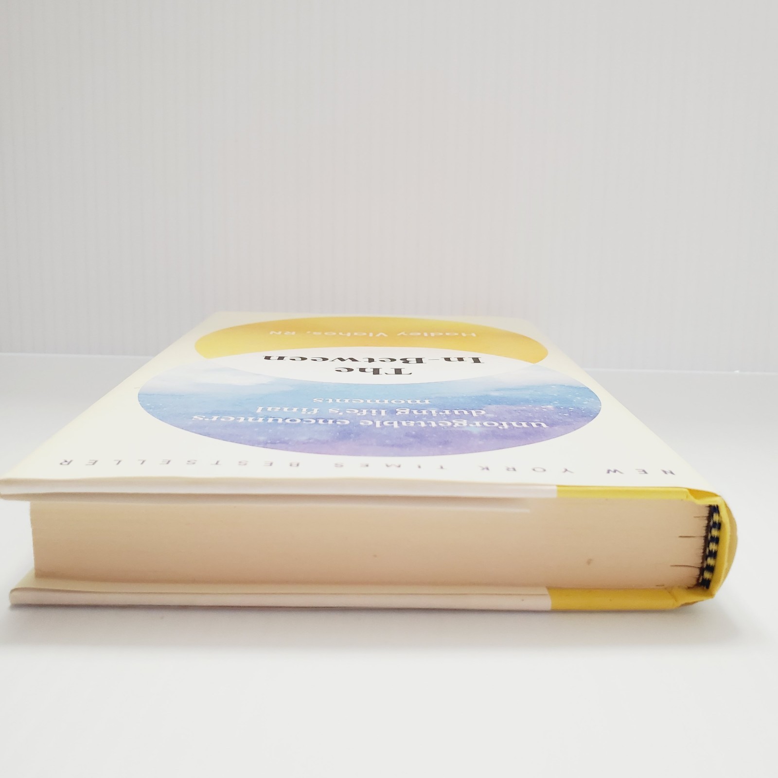 The In-Between Book Encounters During Life’s Final Moments Hadley Vlahos HC