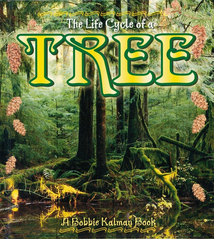 The Life Cycle of a Tree By Kalman, Bobbie Bobbie Kalman, Kathry