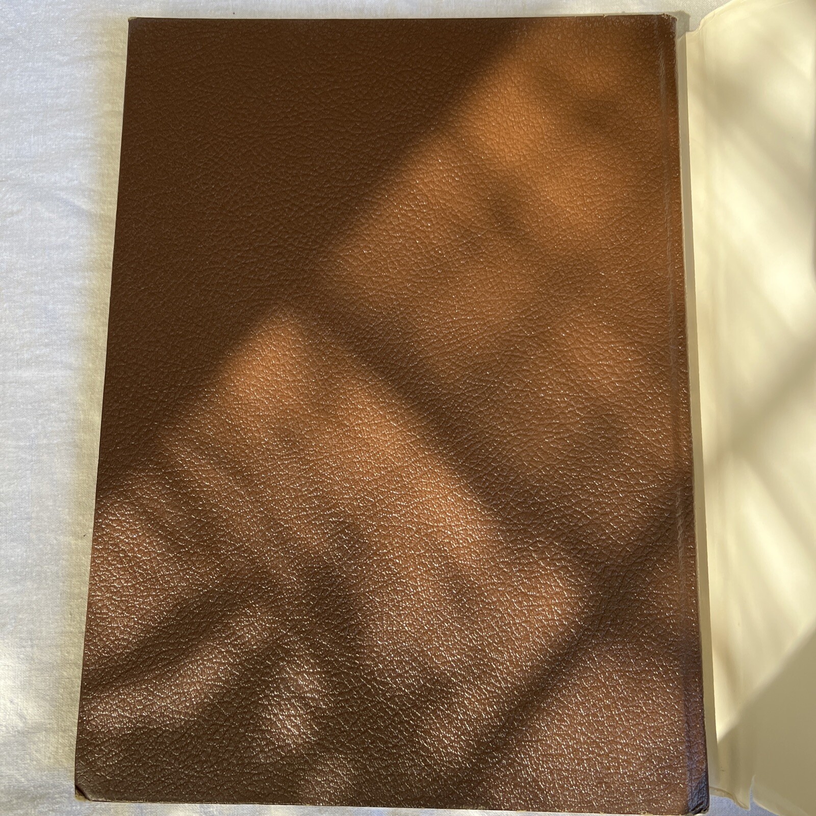 THE LIVING DUNES by JERRY LARSON 1976 Hard Cover Dust Cover 1st Edition- Signed*
