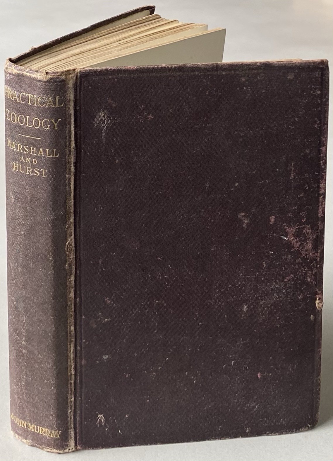 Practical Zoology by Marshall & Hurst (1937 Hardcover)