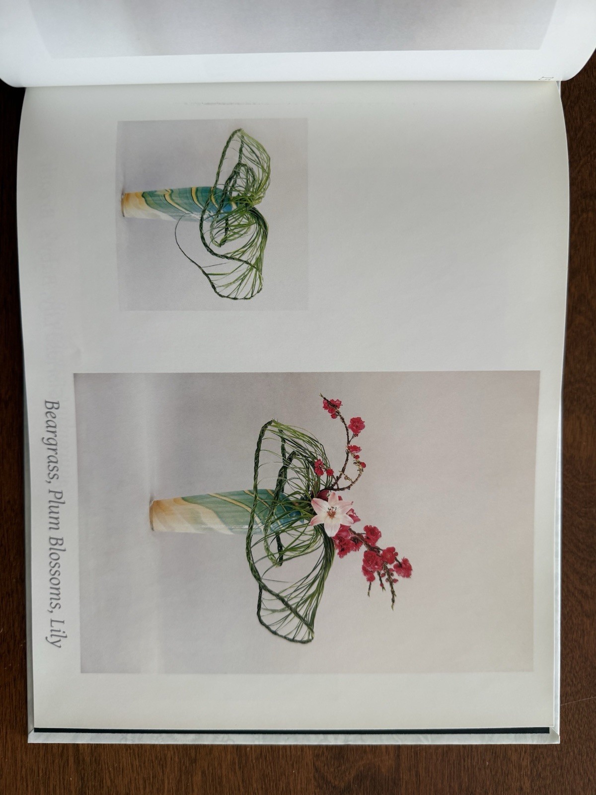 Weaving Techniques with Leaves and Grass by Katsuko Thielke Signed 2015