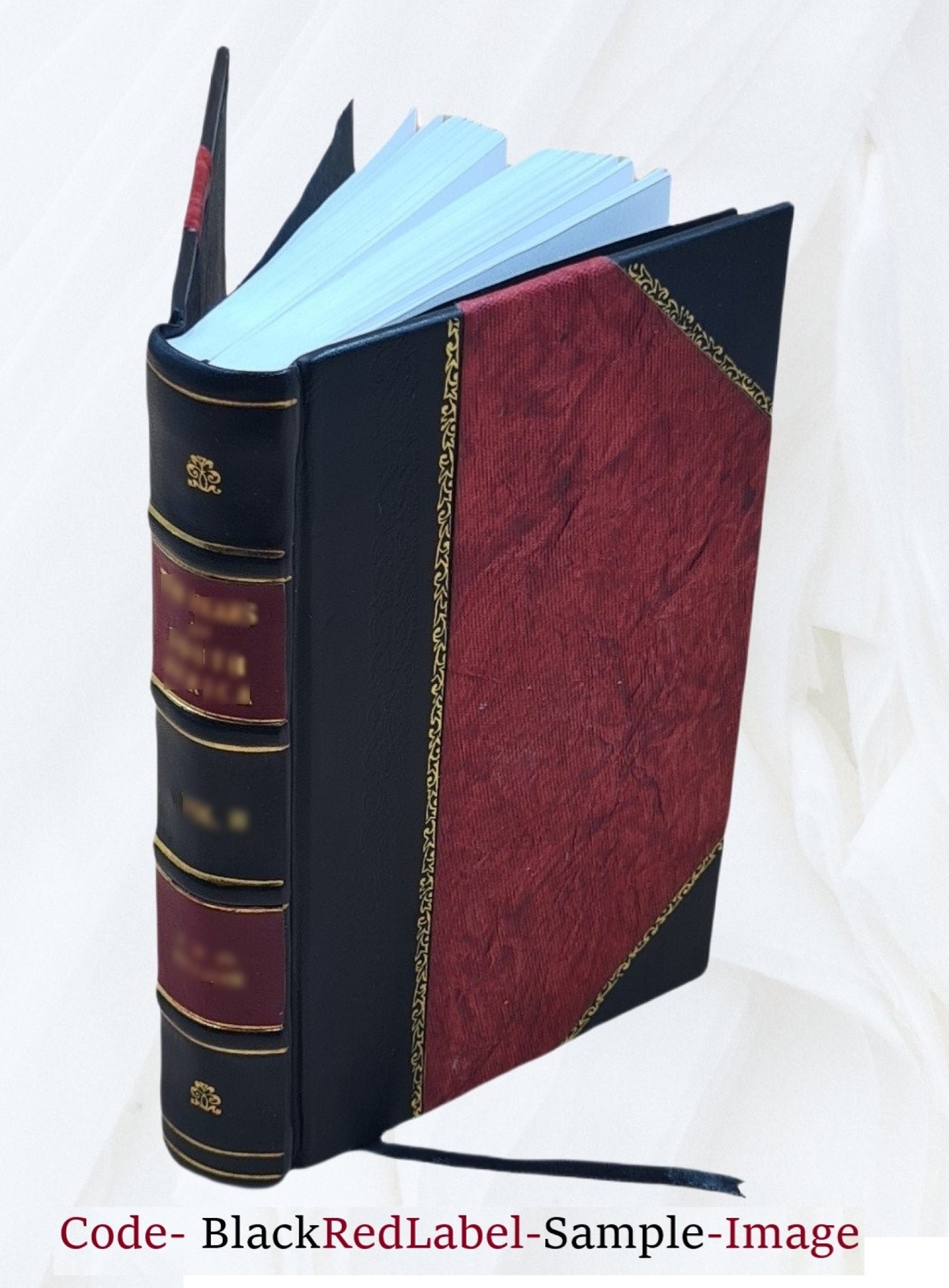 Revised Odd-Fellowship Illustrated The Complete Revised Ritual O [Leather Bound]