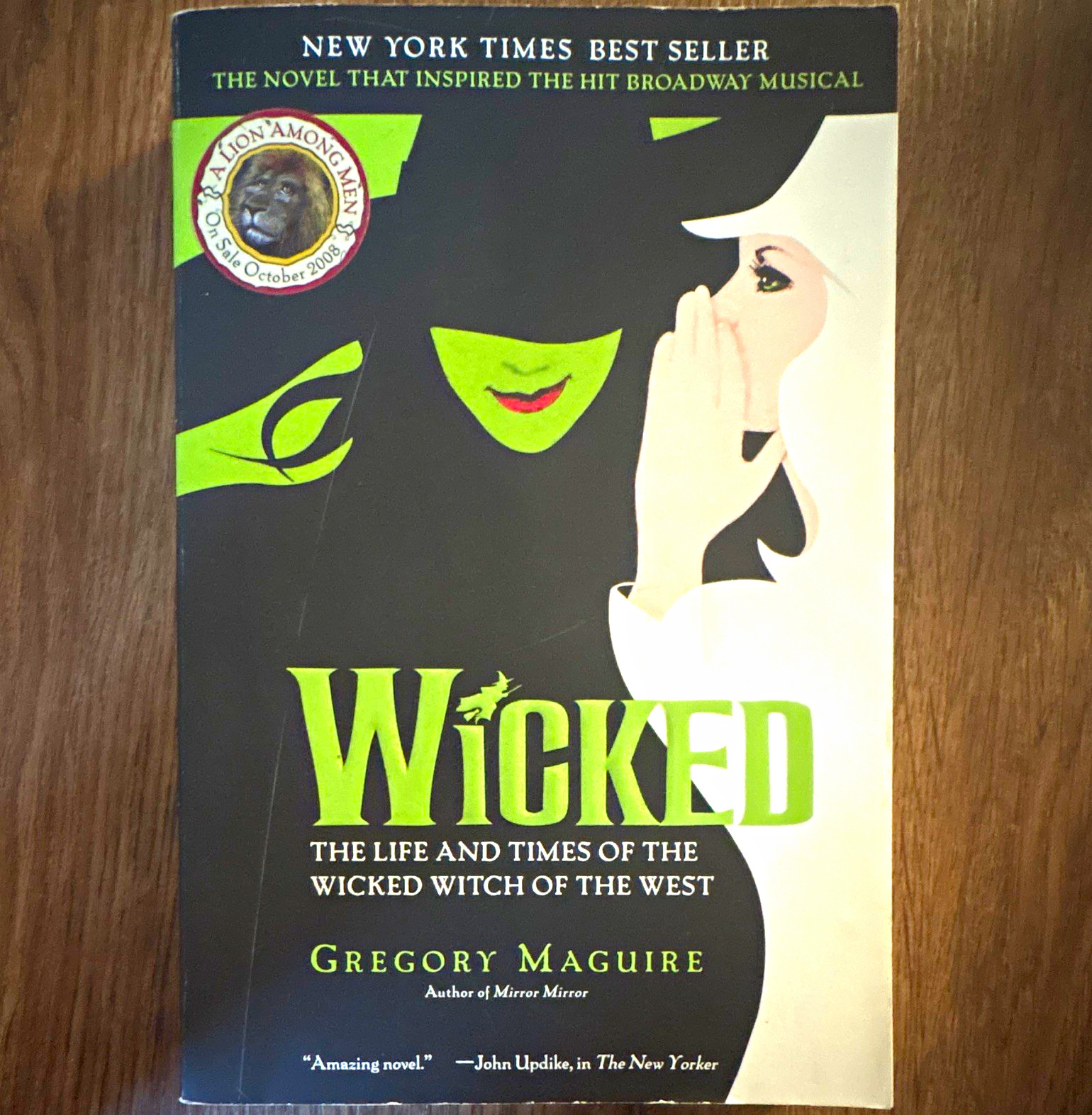 Wicked Wicked Years Ser. Gregory Maguire Paperback Fantasy Novel w/ Guide