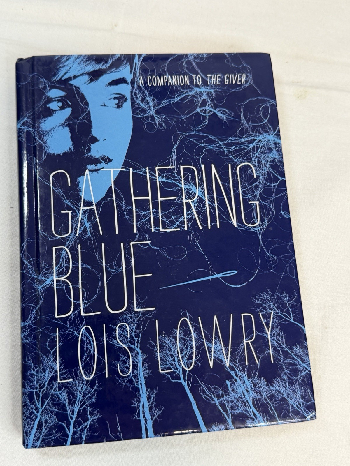 Lois Lowry The Giver Quartet Hardcover Set: The Giver, Gathering Blue + 2