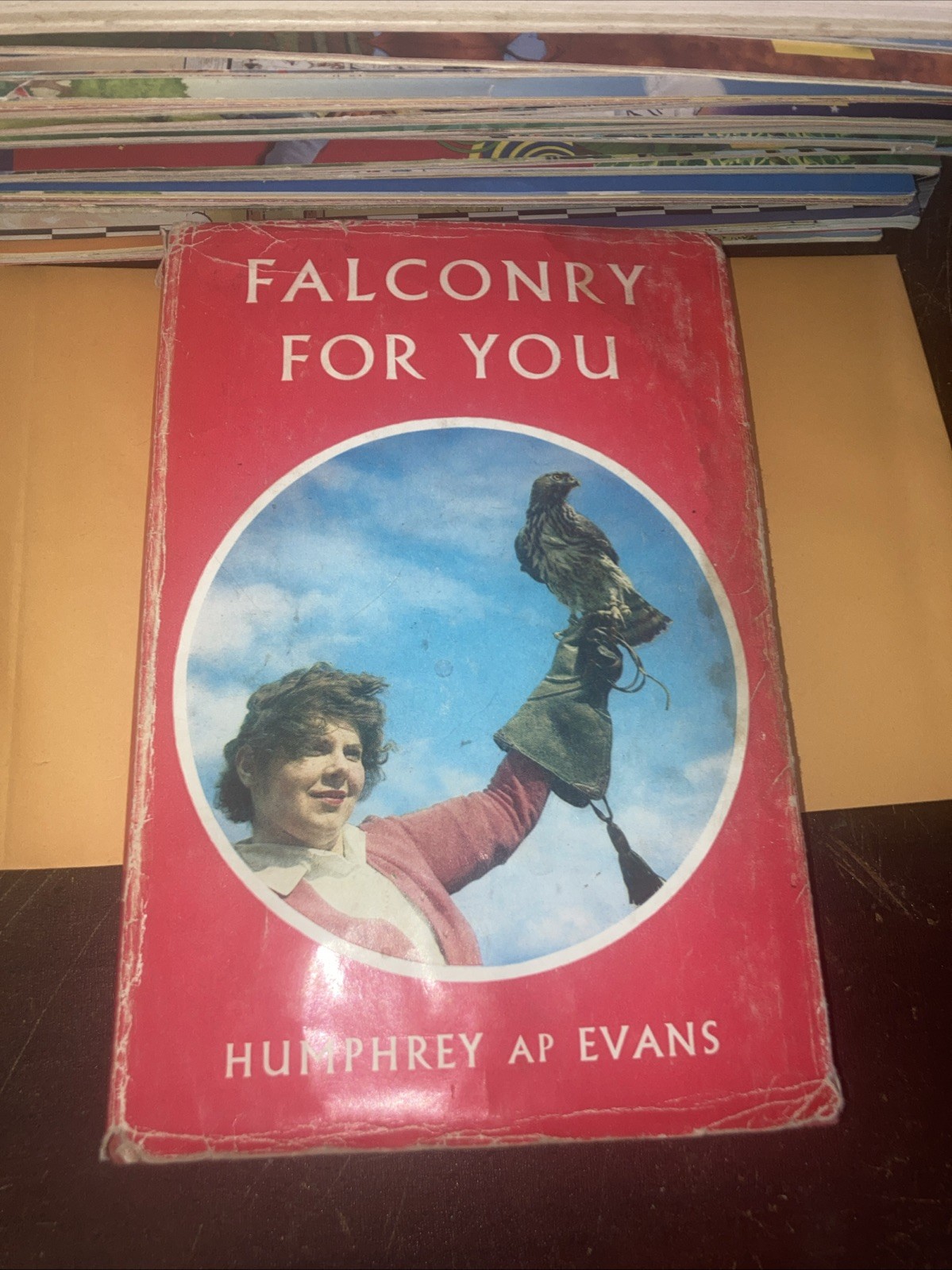 Falconry For You By Humphrey Ap Evans
