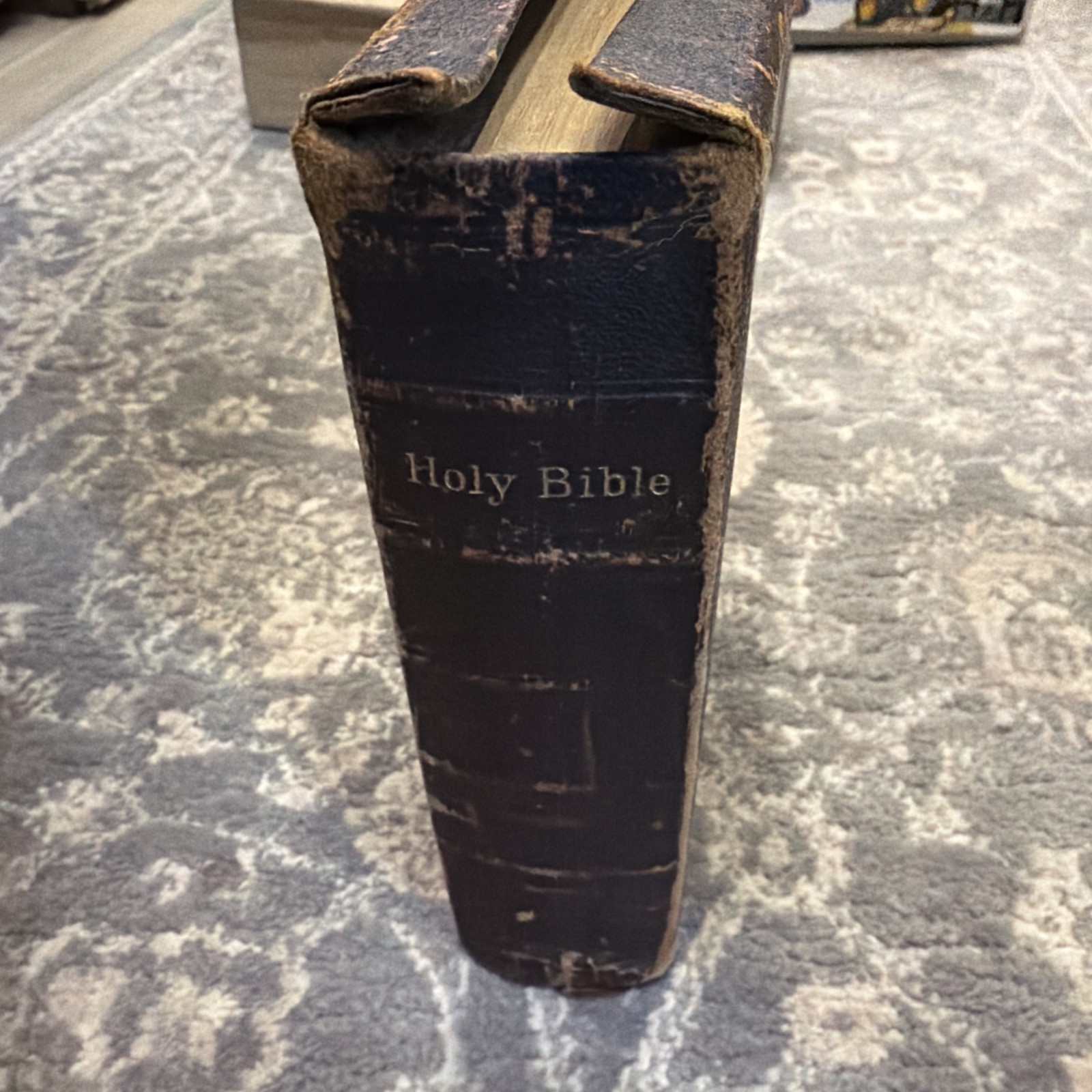 The Holy Bible 1881 New York American Bible Society Original Tongues.