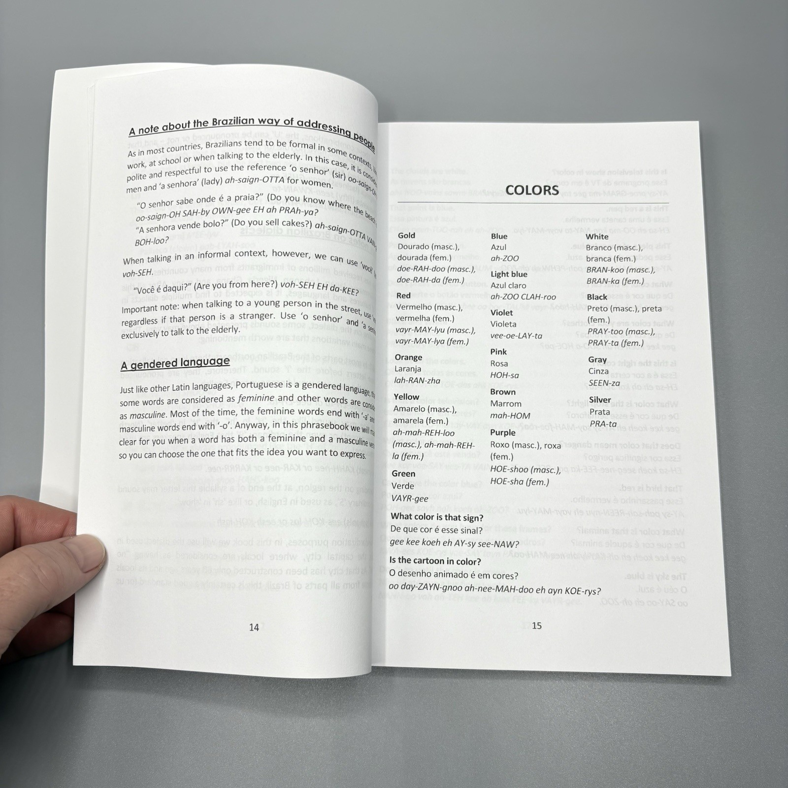 Easy Portuguese Phrase Book: Over 1500 Common Phrases Lingo Mastery PB Good