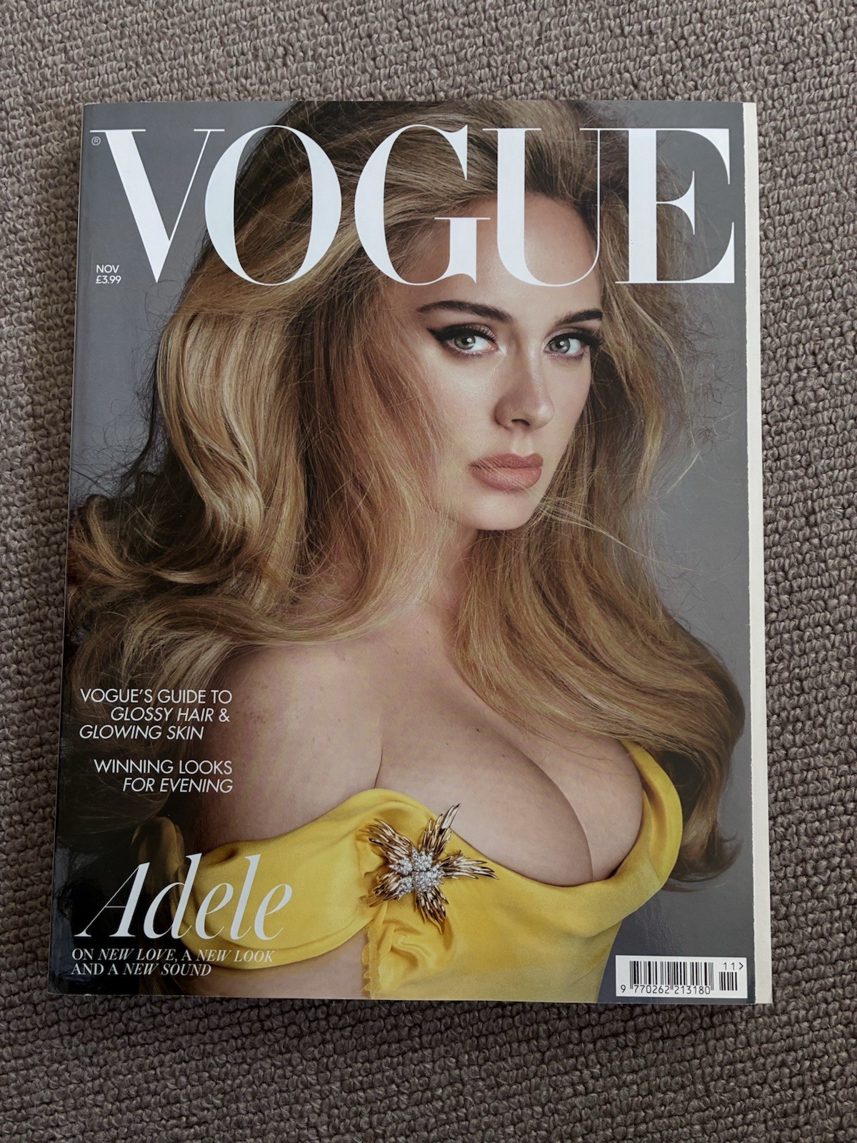 Vogue Magazine Nov 2021 Issue 11 Adele Illustrated Fashion English
