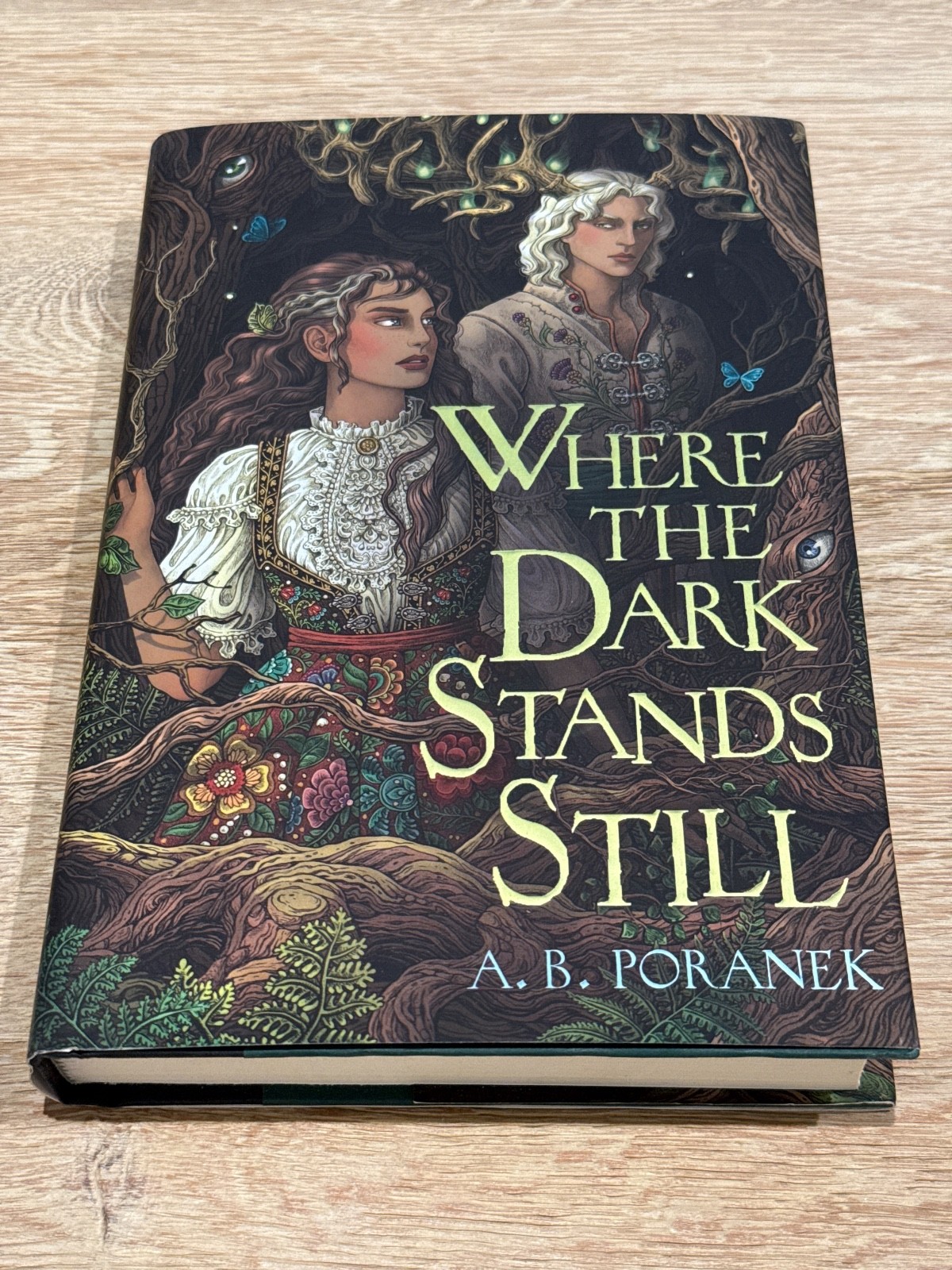 Where the Dark Stands Still by A. B. Poranek (2024, Hardcover)