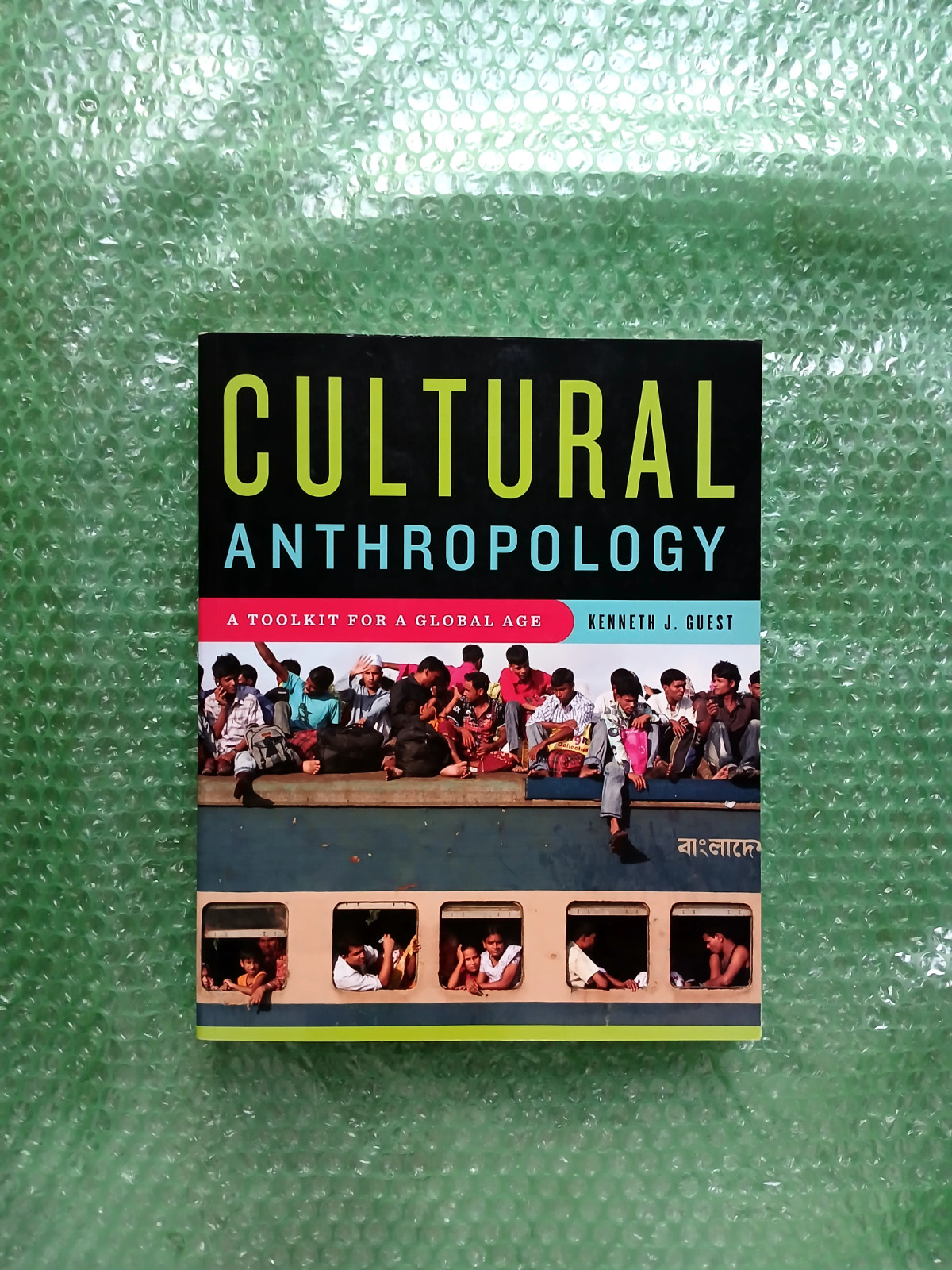 Cultural Anthropology : A Toolkit for a Global Age by Kenneth J. Guest (2013,…
