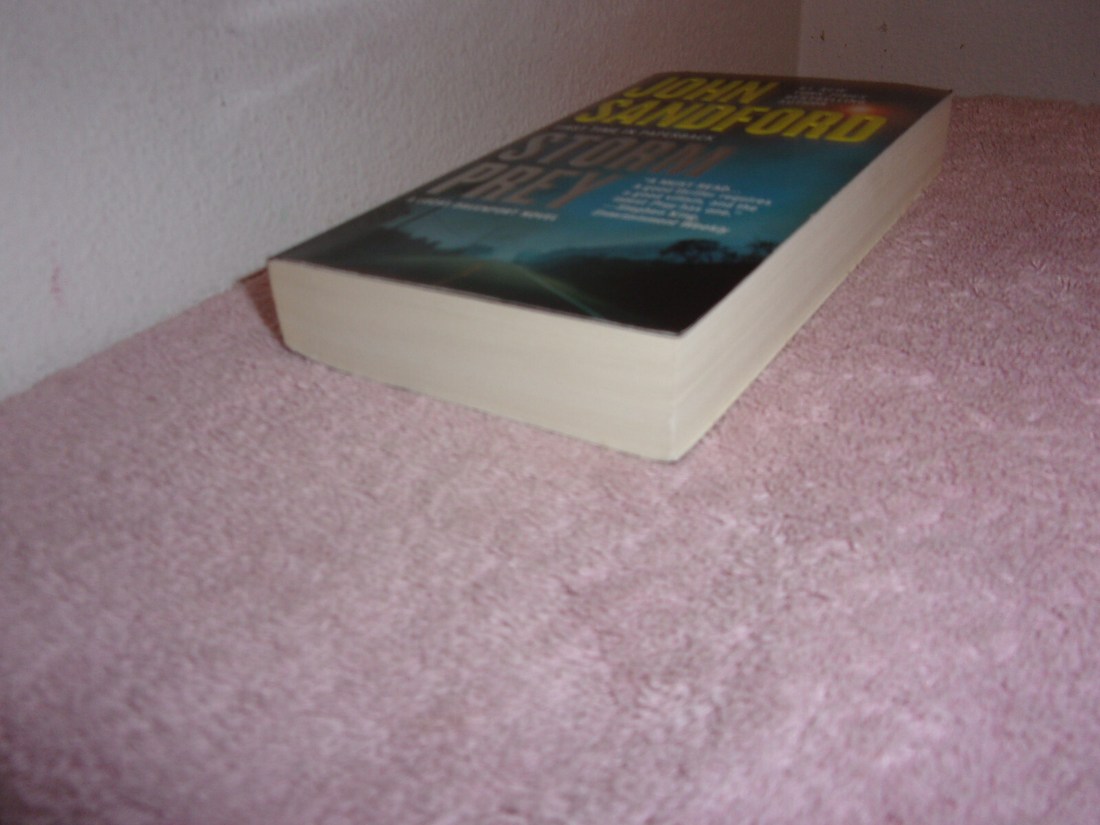 A Prey Novel Ser.: Storm Prey by John Sandford (2011, Trade Paperback)