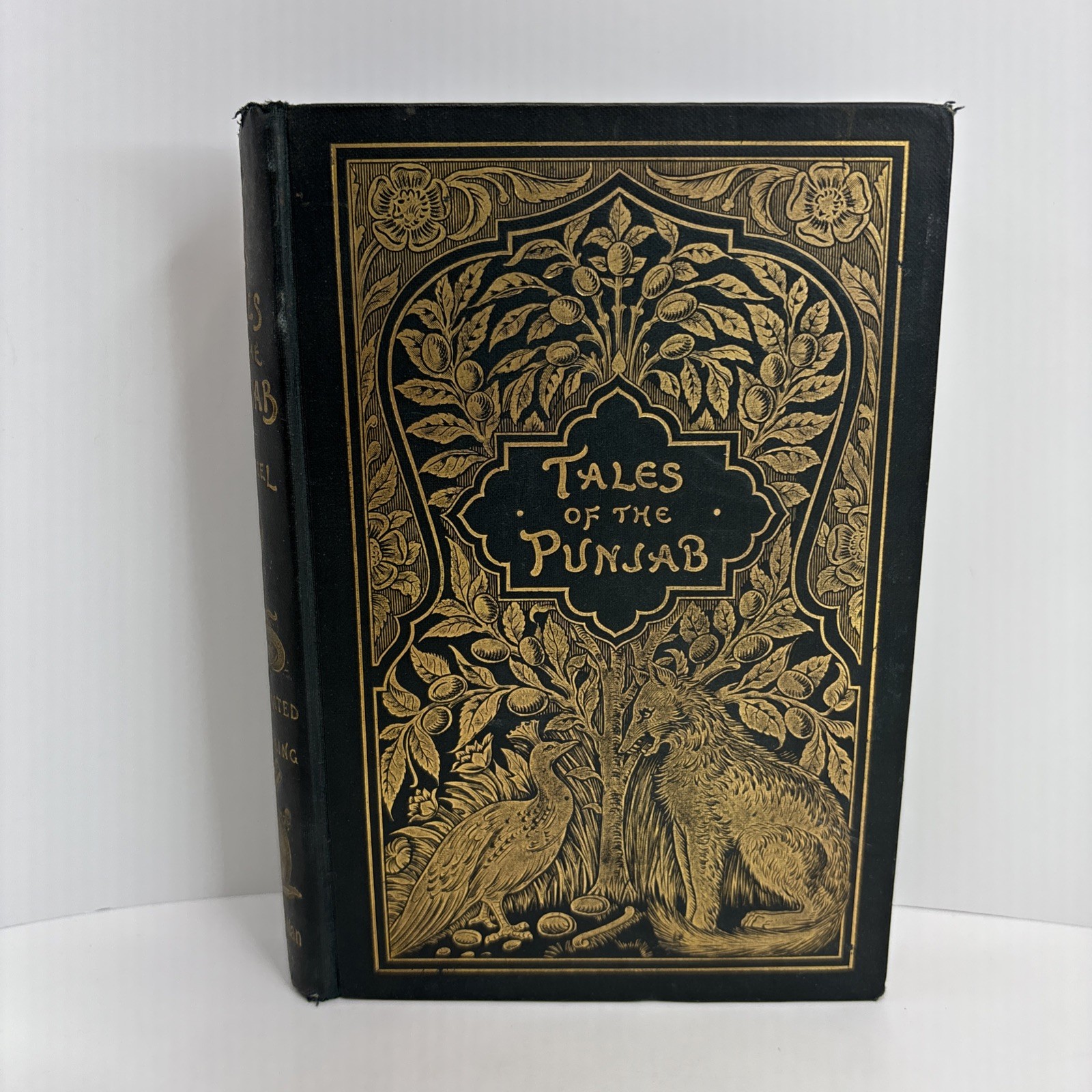 1894 Tales of the Punjab Told by the People – Flora Annie Steel – 1st Edition