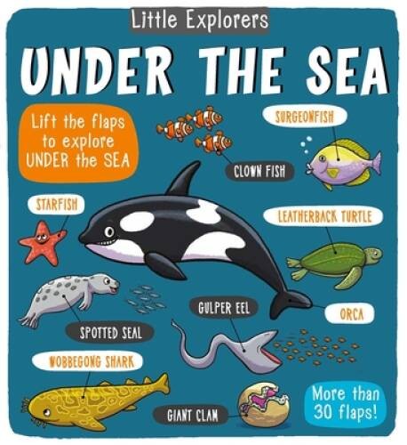 Little Explorers: Under the Sea – Hardcover By Little Bee Books – VERY GOOD