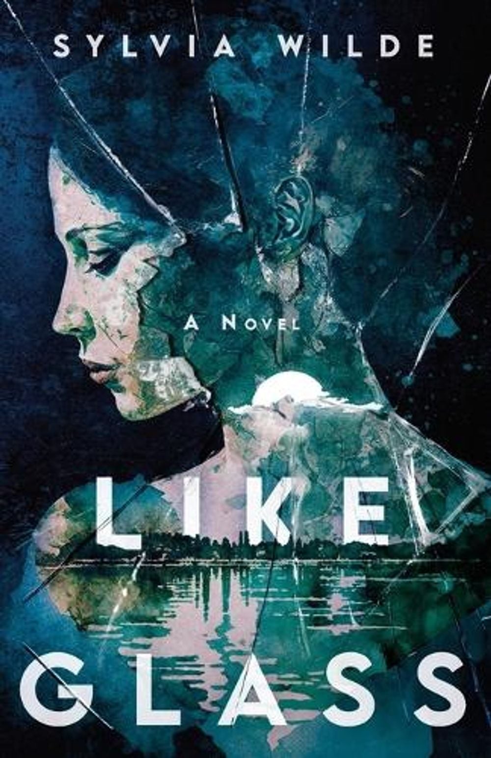 Like Glass by Amy Ruthenberg Paperback Book