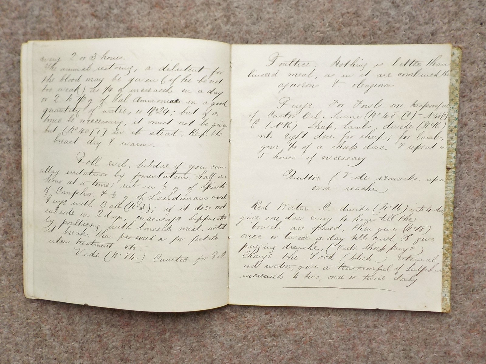 1886 Veterinary handwritten book Cures Recipes 91 pages Horses Dogs Cattle etc