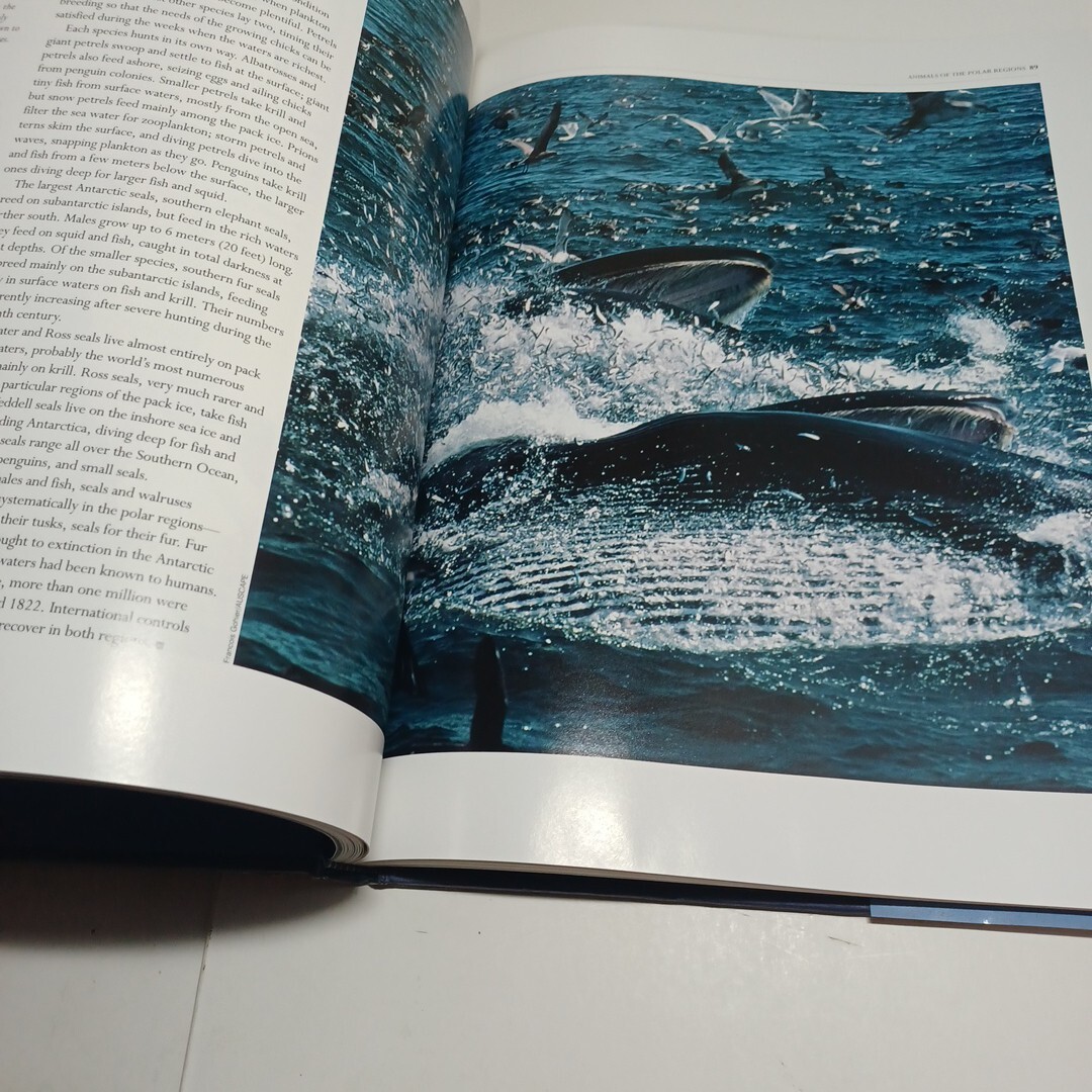 Polar Regions The Illustrated Library Of The Earth