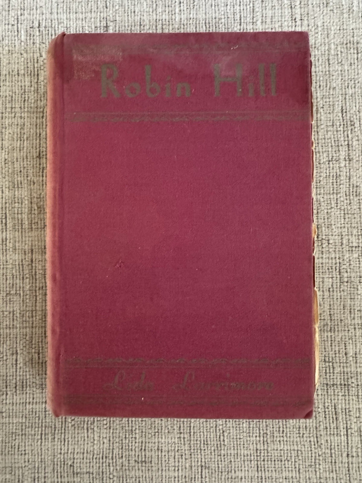 1932 Robin Hill Lida Larimore First Edition Vintage Hardcover Novel