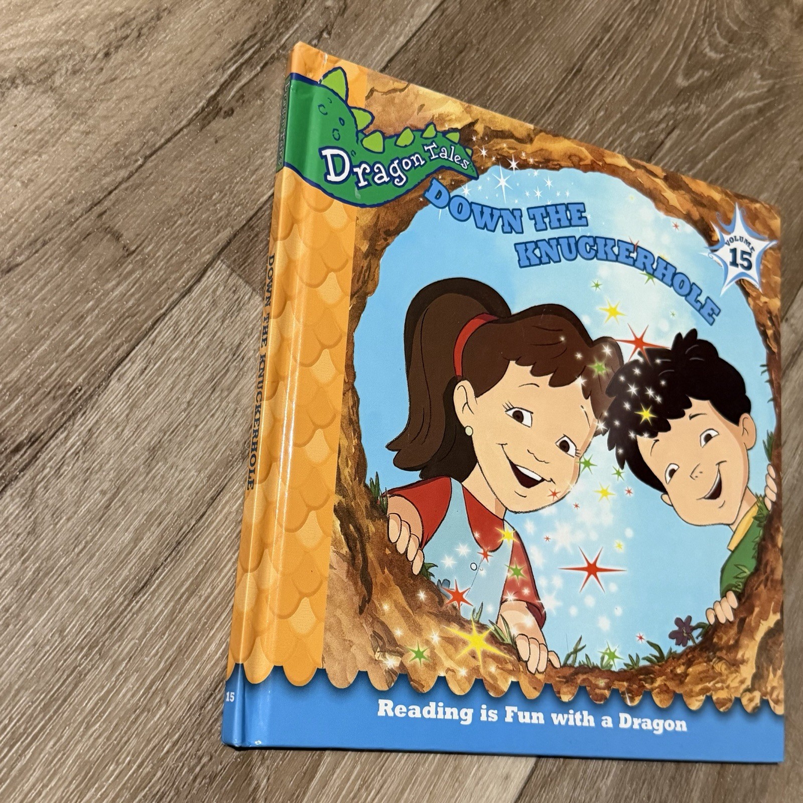 Dragon Tales Reading is Fun with a Dragon Down The Knuckerhole Volume 15 Book