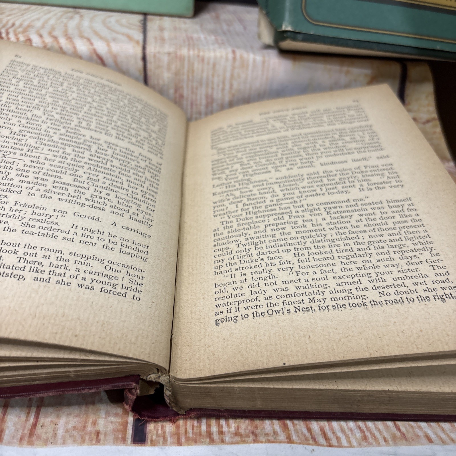 THE OWL’S NEST By: E. Marlitt, Translated From German By: Hettie Miller Undated