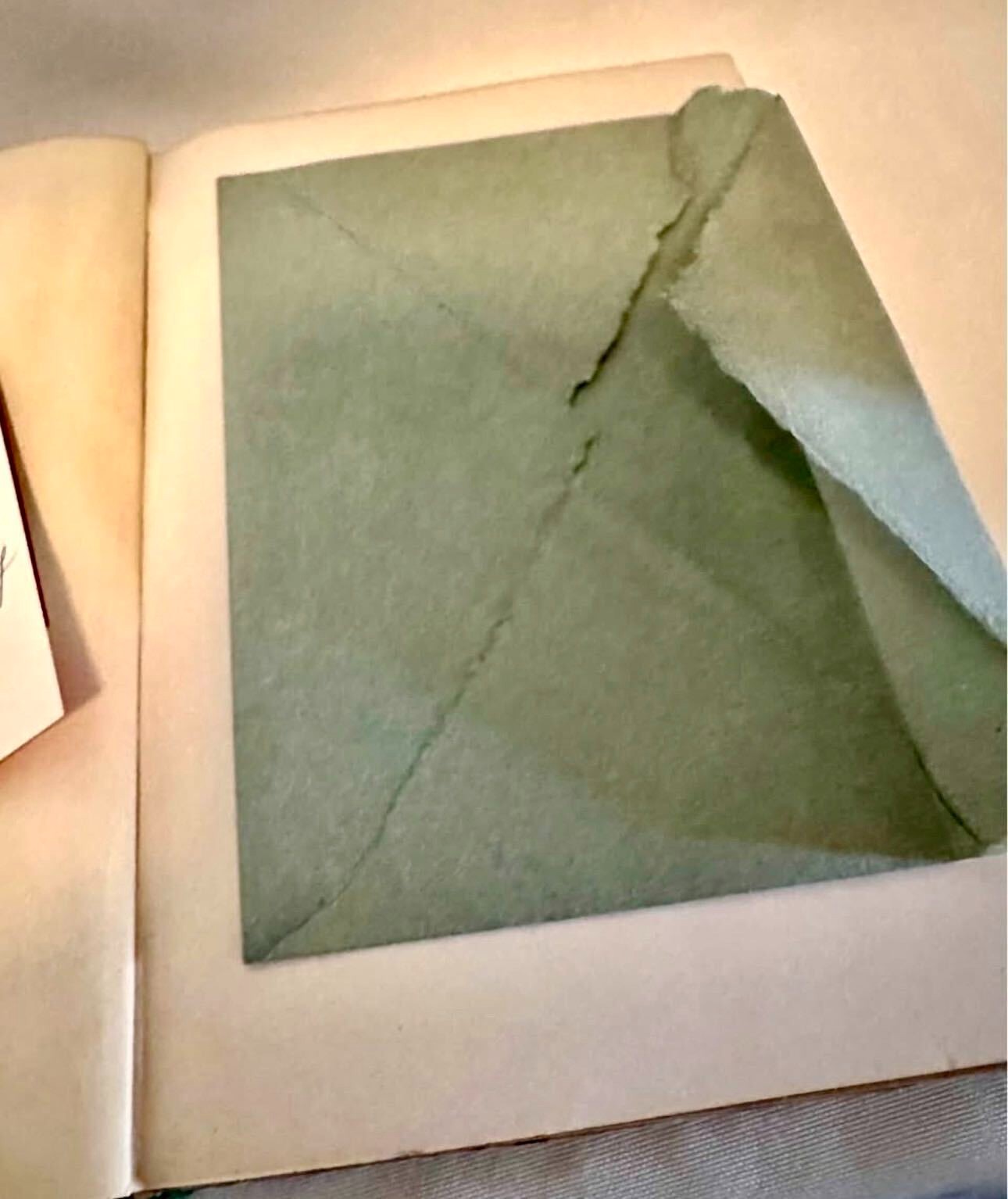 Charles Kellogg Signed Limited Ed 1929 The Nature Singer Rare Book First Edition