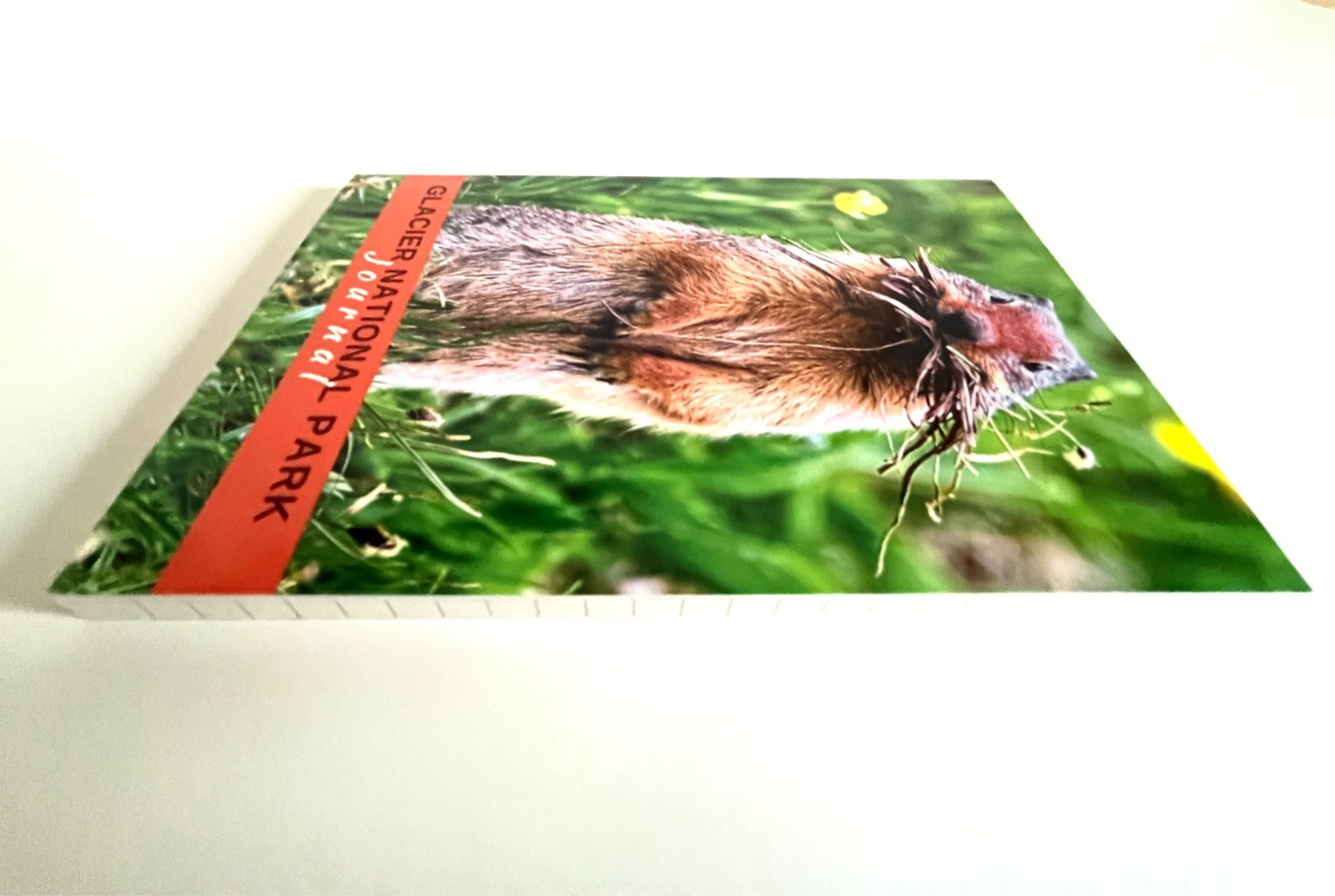 Glacier National Park Journal BRAND NEW Columbian Ground Squirrel $5.99 Huzzah