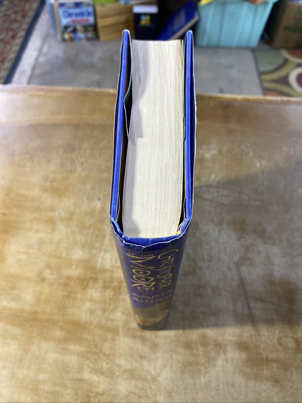 Anima Rising SIGNED Christopher Moore Hardcover 2025 1st Ed 1st Print DJ