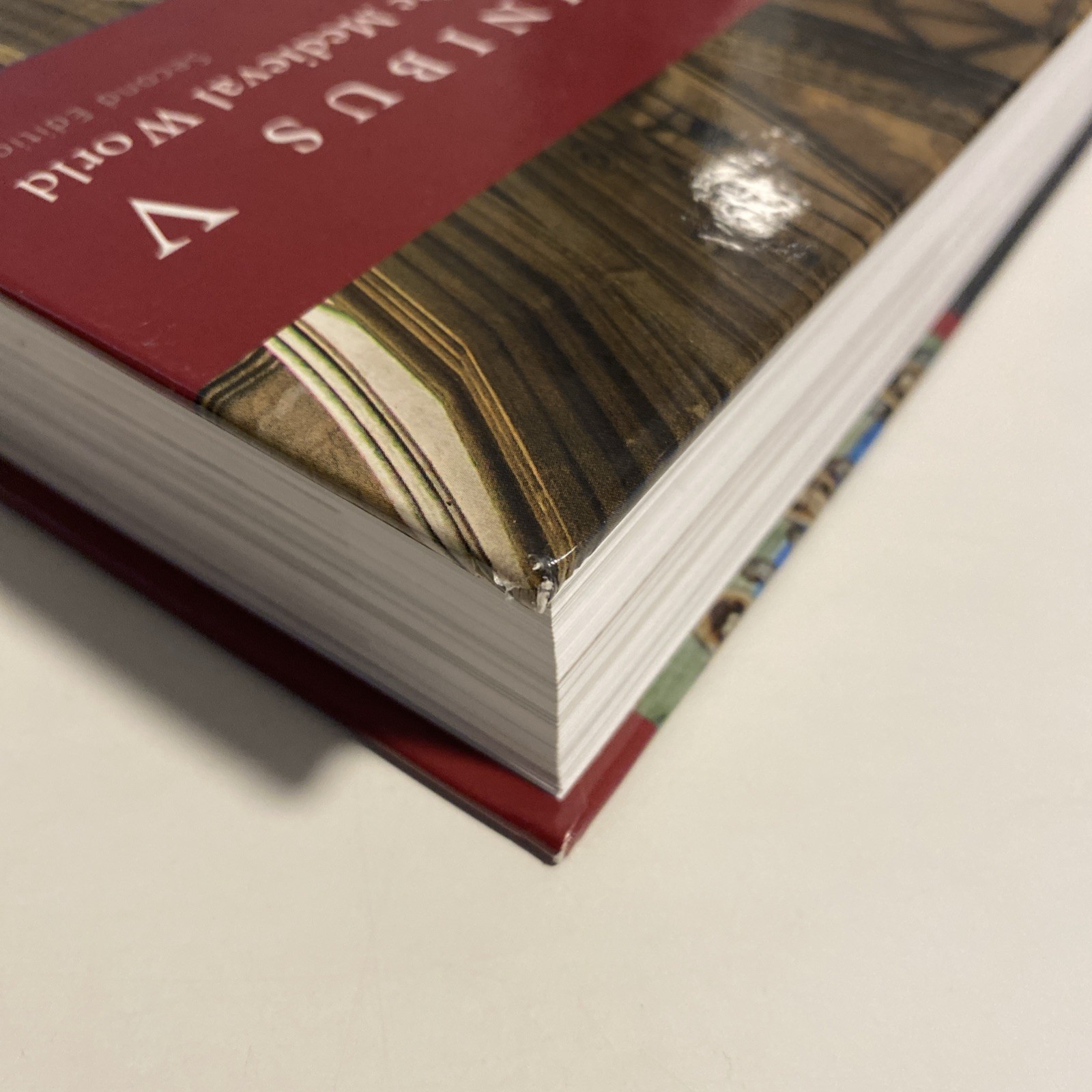 Omnibus V: The Medieval World