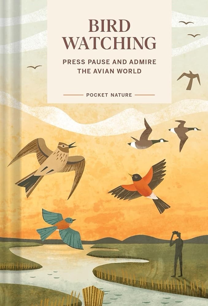 Pocket Nature: Bird-Watching : Press Pause and Admire the Avian World by Andrea