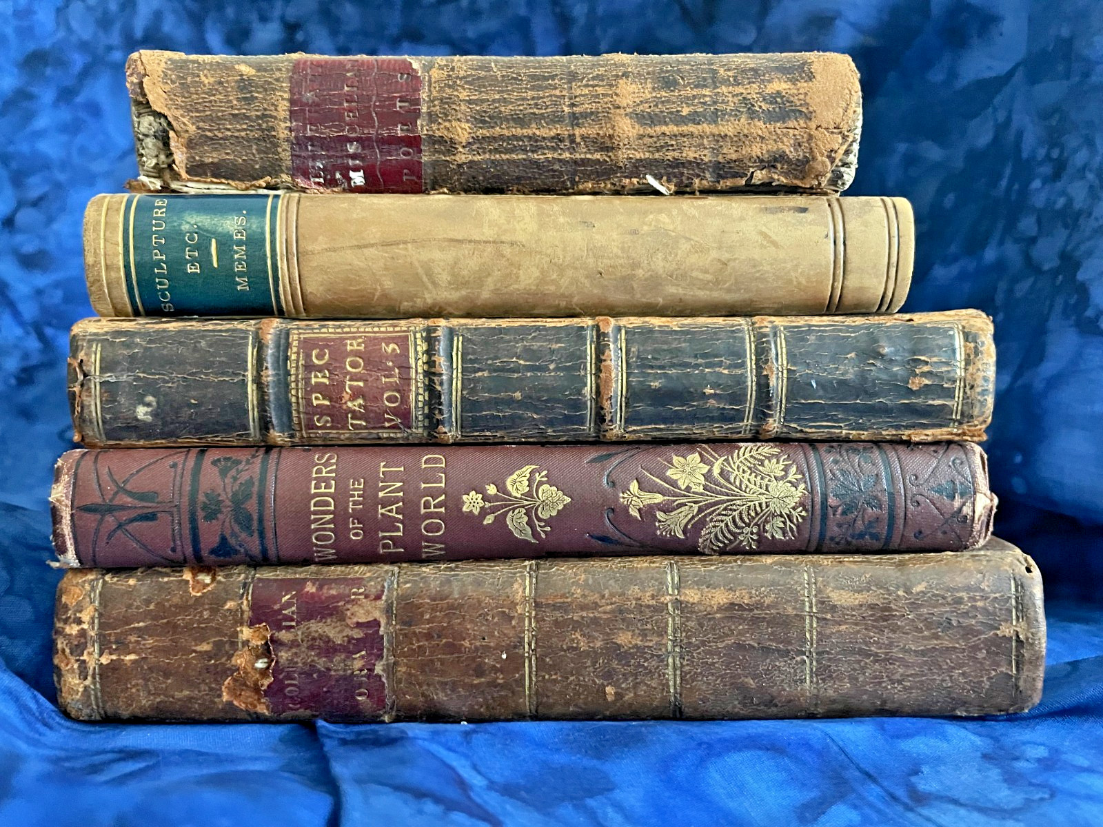 Tiny Antique Books; Miscellany, Plant World, Spectator, Columbian Orator #B46
