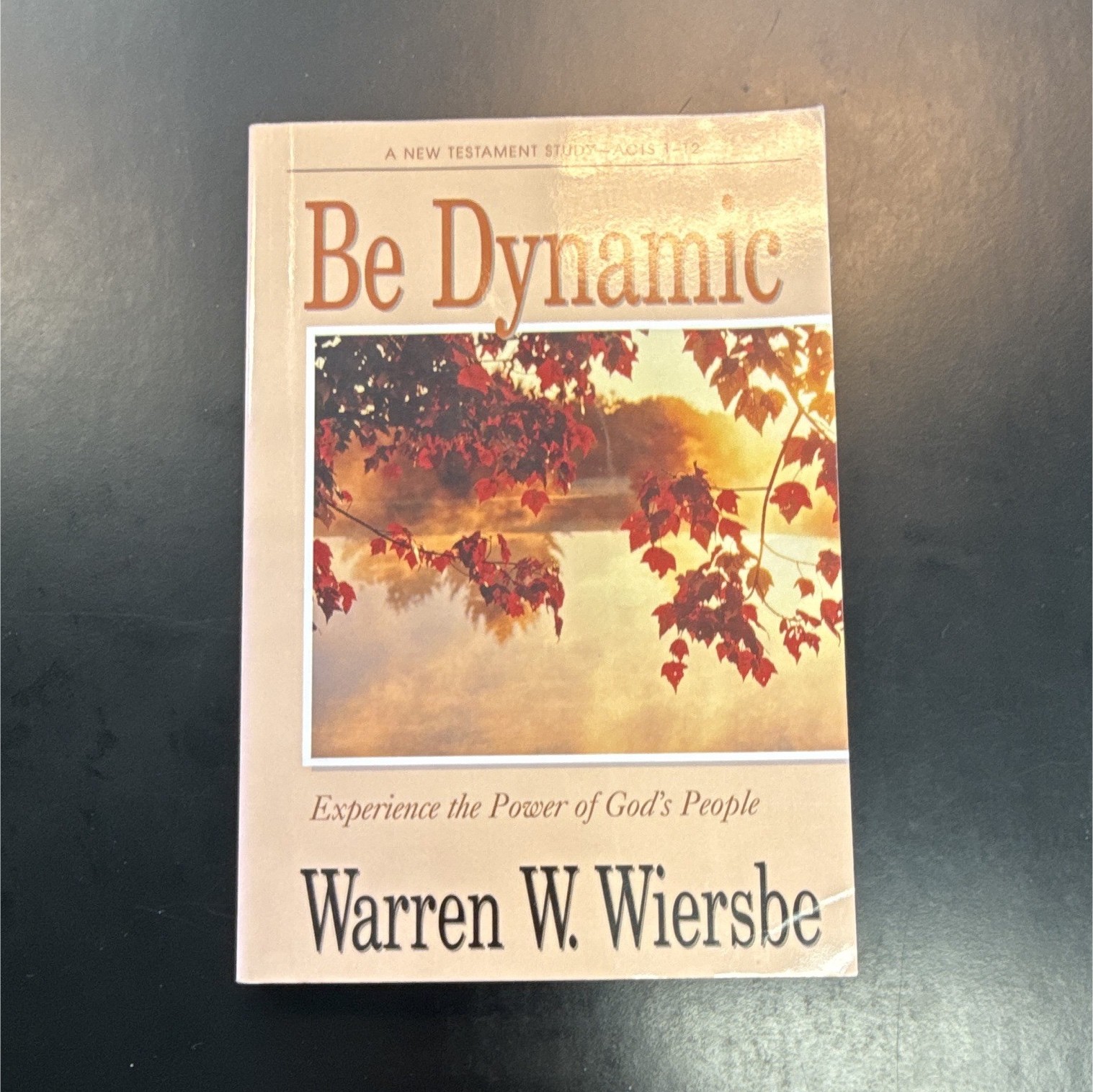 Be Dynamic PB Warren W. Wiersbe Acts 1-12 Study Guide Readers’ Guide Victor