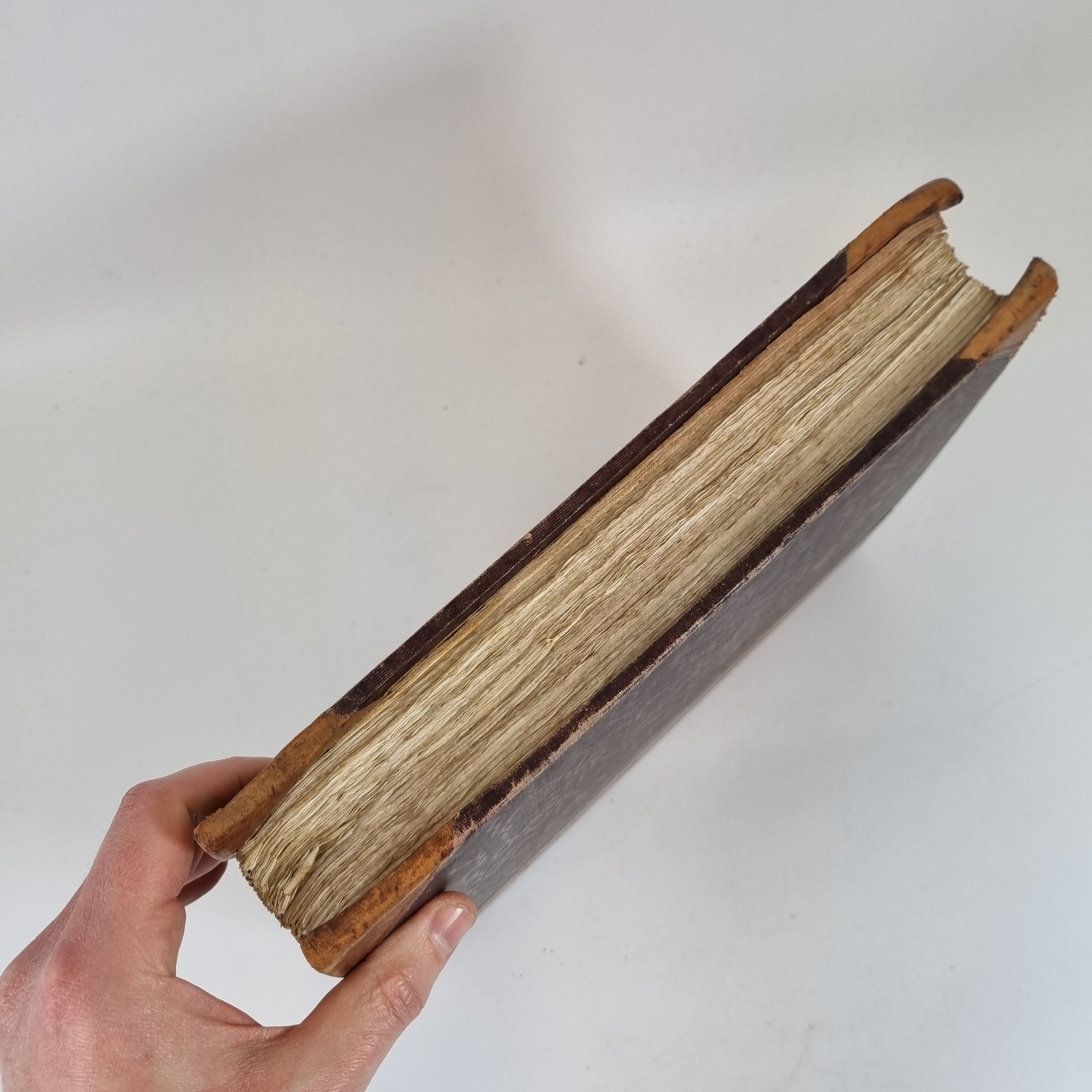 Antique Early 20th Letter Book Account Book Half Calf 29.5cm High Prop