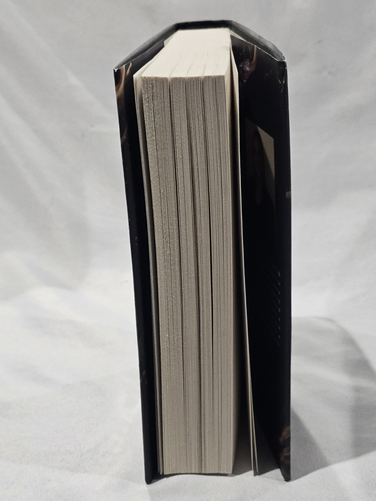 Rite of the Starling: Shield of Sparrows Series Sprayed Edges Devney Perry 😁