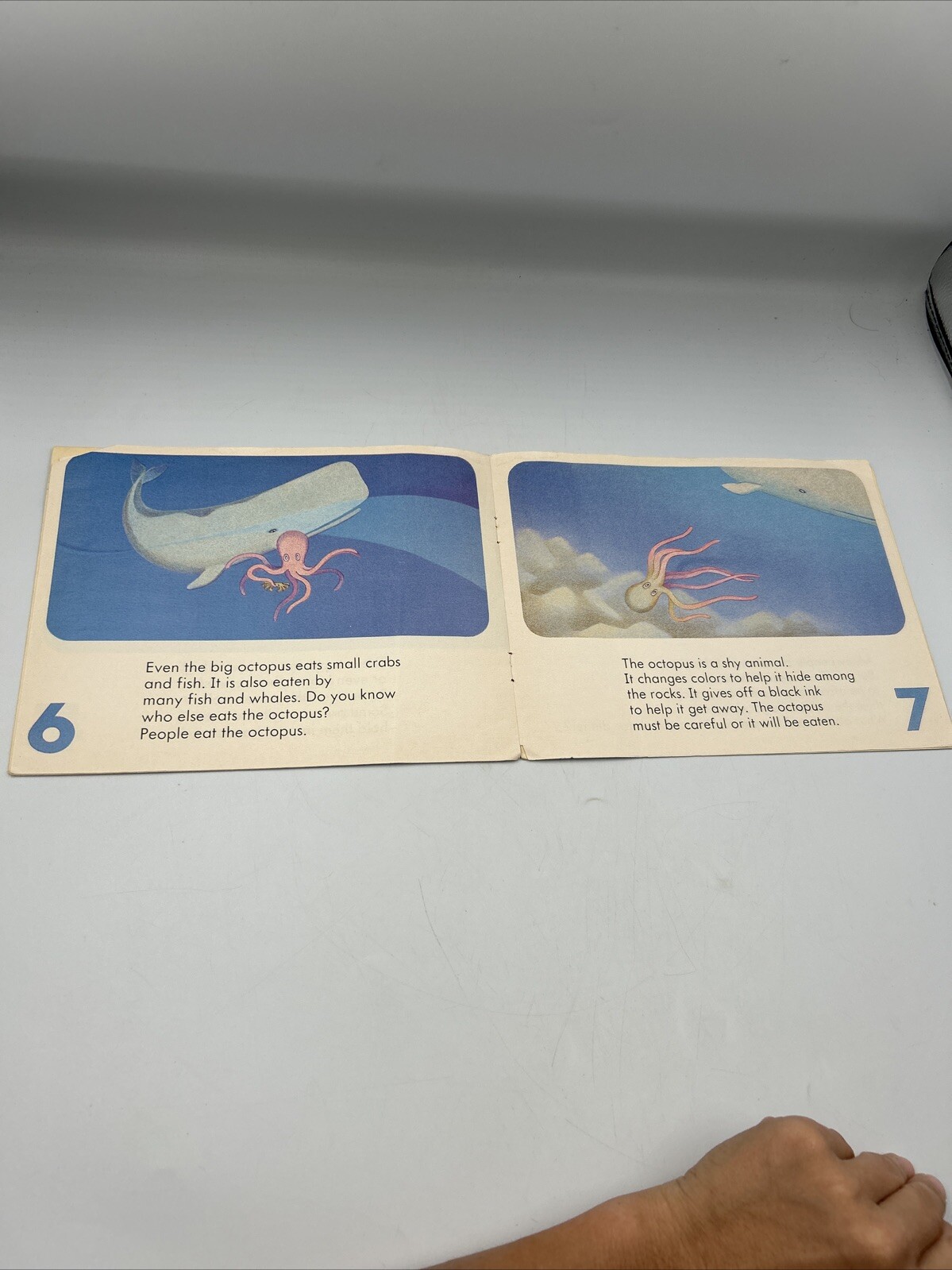 The Octopus Book 9 (Sight Word Program) by Alvin Granowsky ‘83 Modern Curriculum