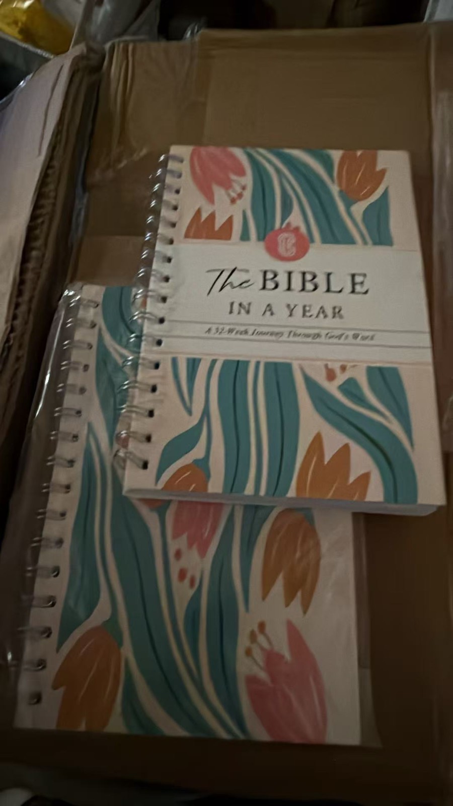 2pcs The Bible in a Year 52-Week Faith Study Notebook Spiral Bound Devotional