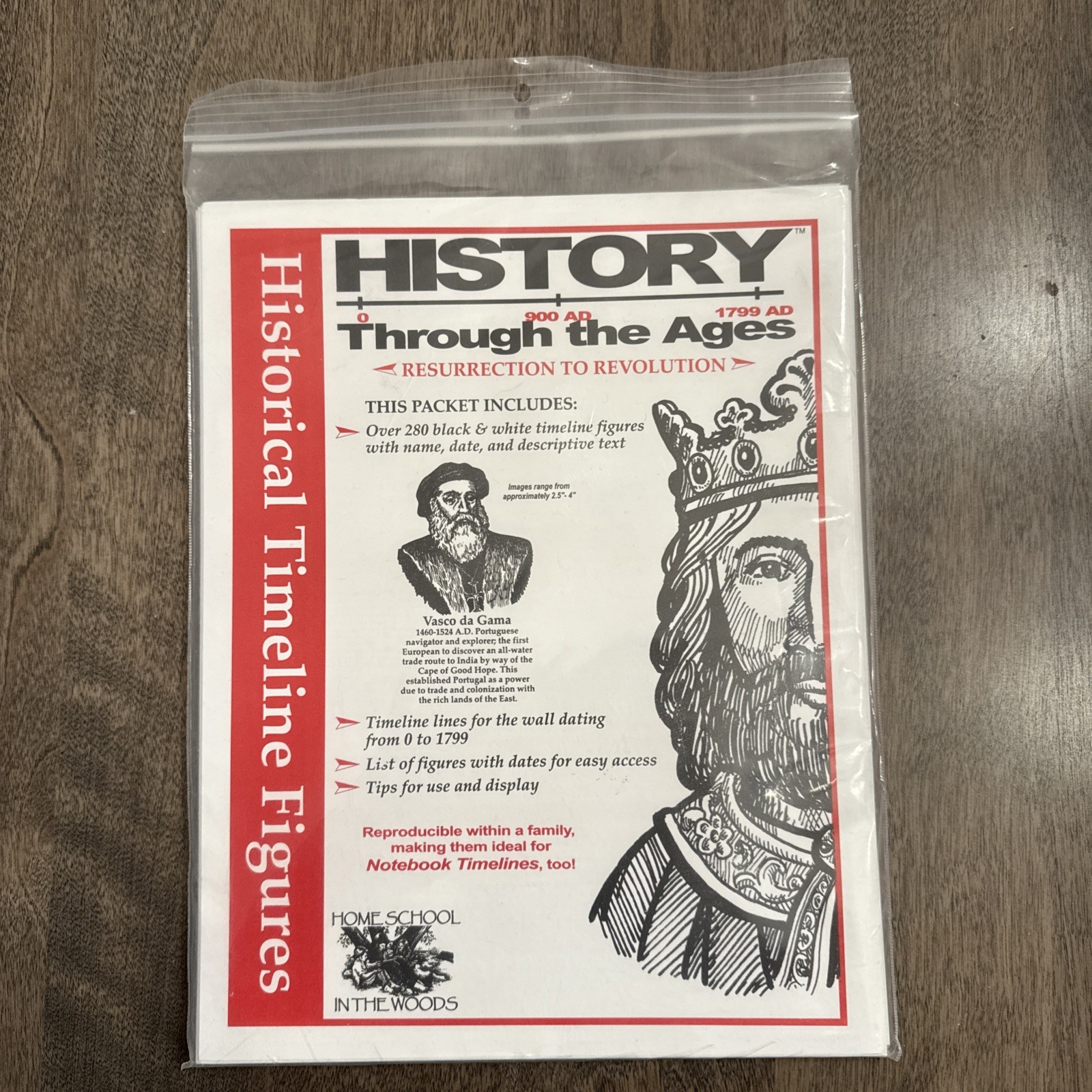 History Through the Ages Historical Timeline Figures 0-1799 Unused homeschool