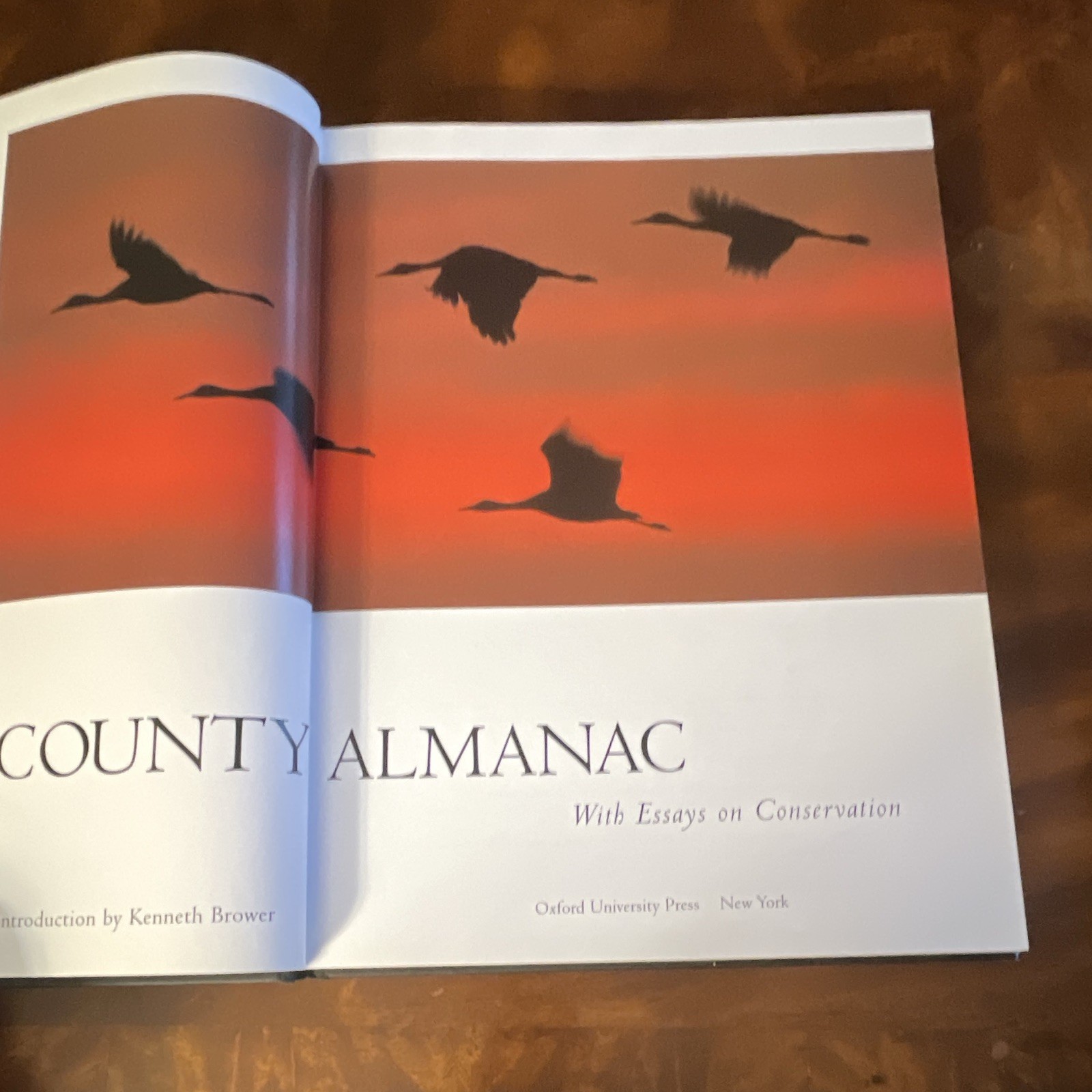 Oxford University Press A Sand County Almanac HC Aldo Leopold Illustrated 1993